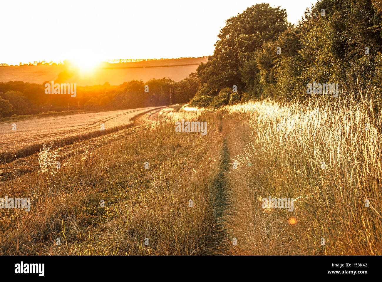 Eynsford Wanderweg Stockfoto
