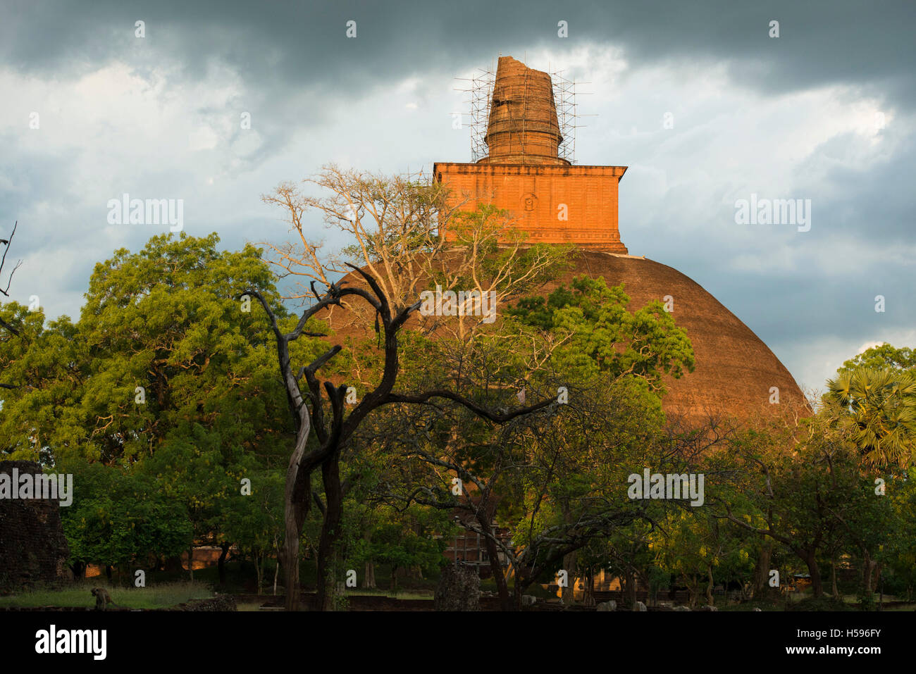 Jetavanaramaya, Stupa befindet sich in den Ruinen des Jetavana in der Heiligen Welt Erbe Stadt Anuradhapura, Sri Lanka Stockfoto