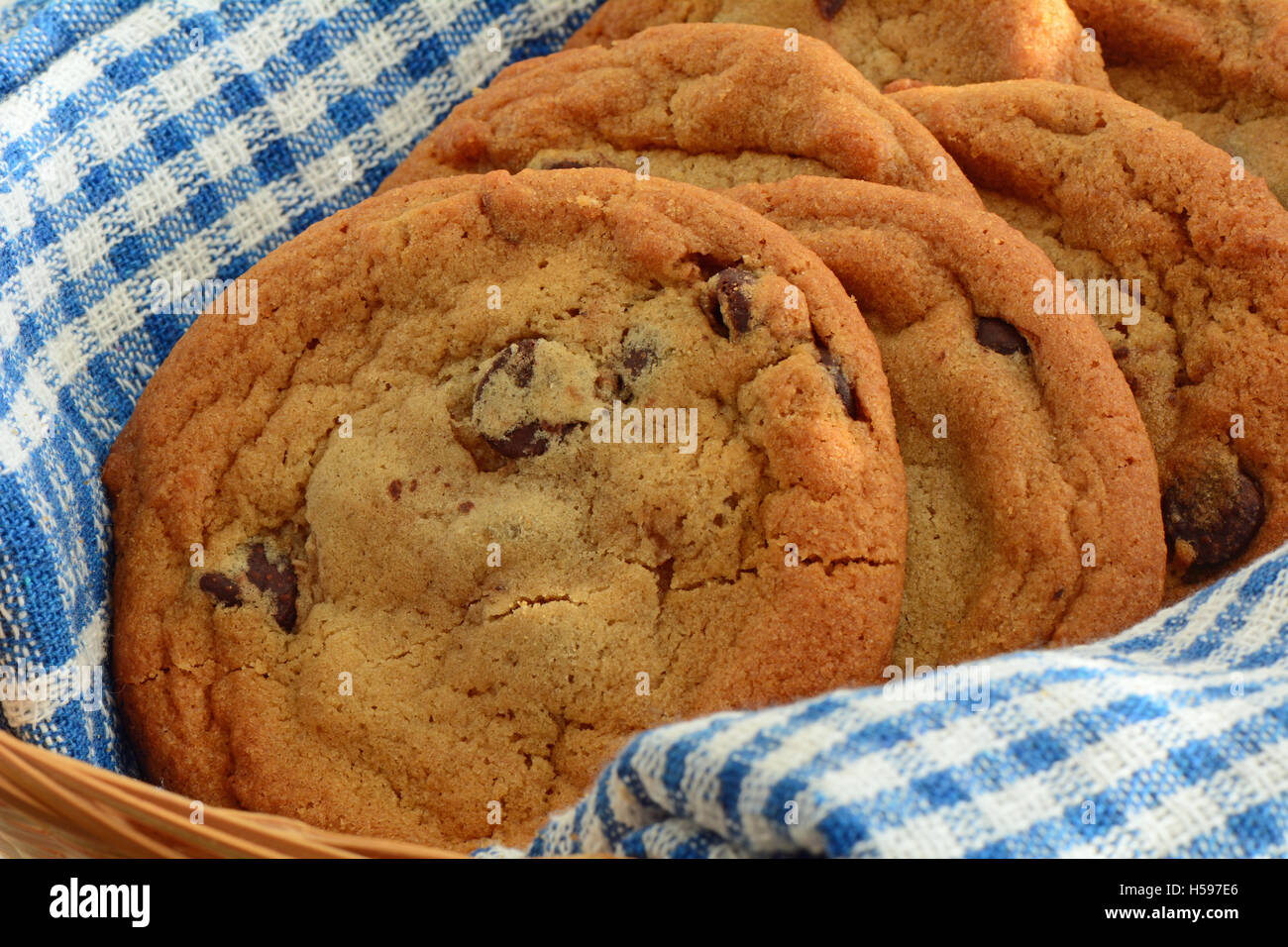Frisch gebackene Schokoladenkekse auf blauen und weißen Küchentuch im Querformat.  Makro mit flachen DOF Stockfoto