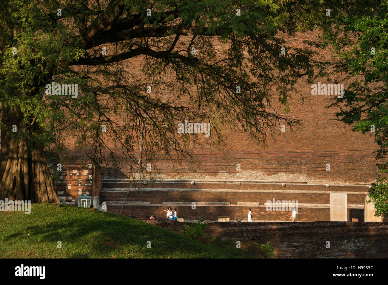 Jetavanaramaya, Stupa befindet sich in den Ruinen des Jetavana in der Heiligen Welt Erbe Stadt Anuradhapura, Sri Lanka Stockfoto