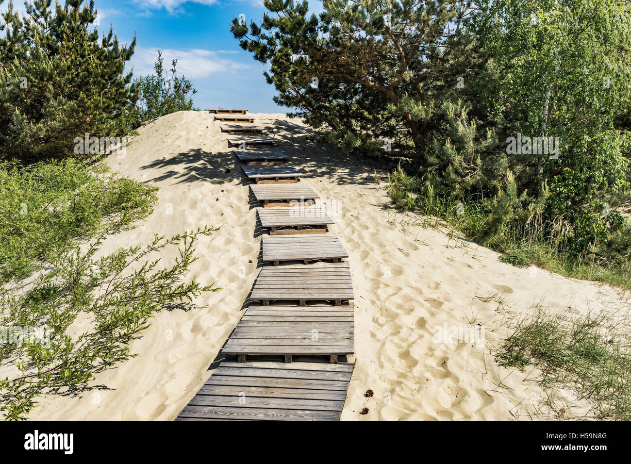 Schritte, um die bis zu 60 Meter hohen Düne in Nidden, Nida, Kurische Neringa spucken, Litauen, Baltikum, Europa Stockfoto