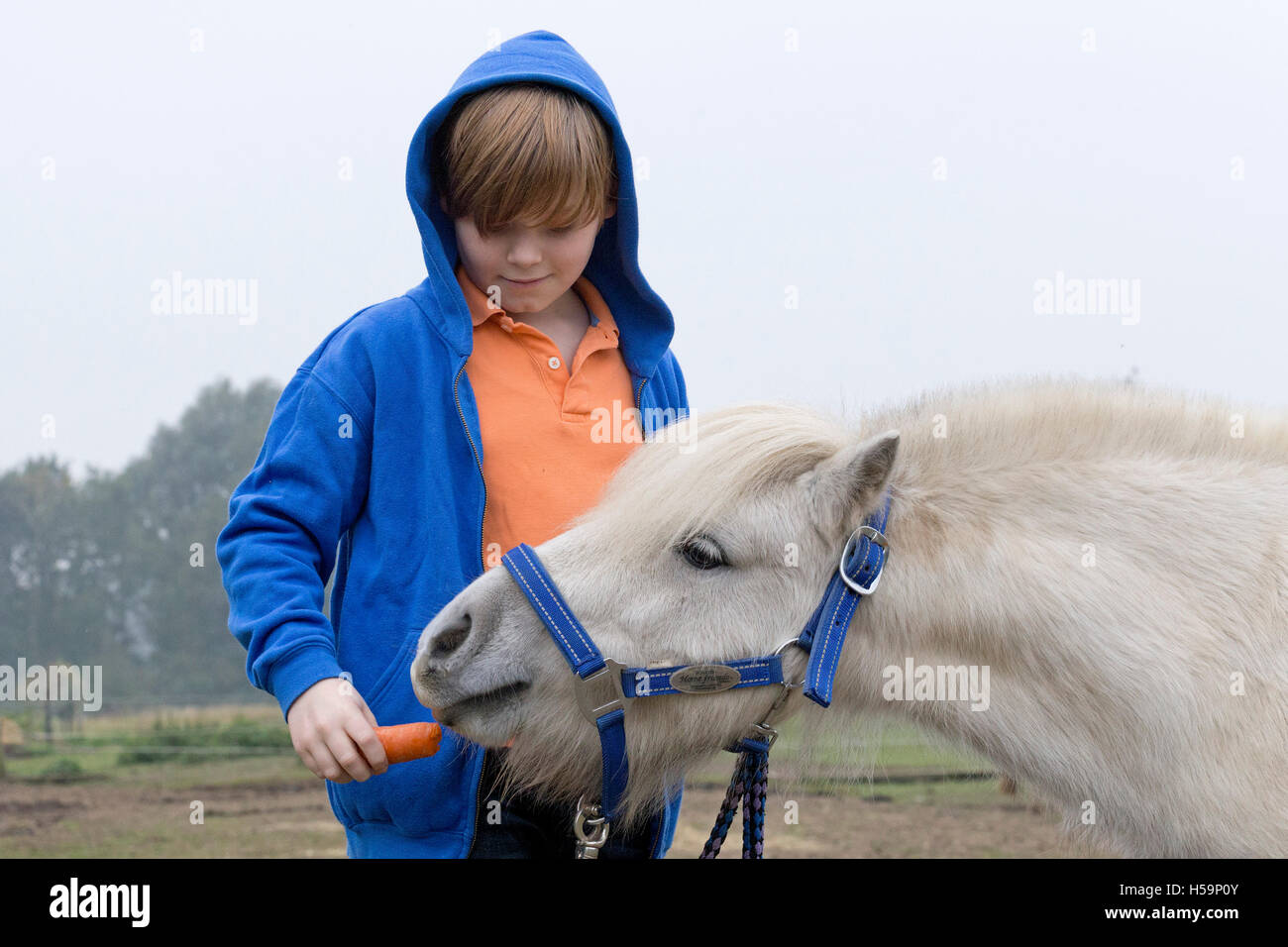 kleiner Junge mit seinem Pony eine Karotte Stockfoto