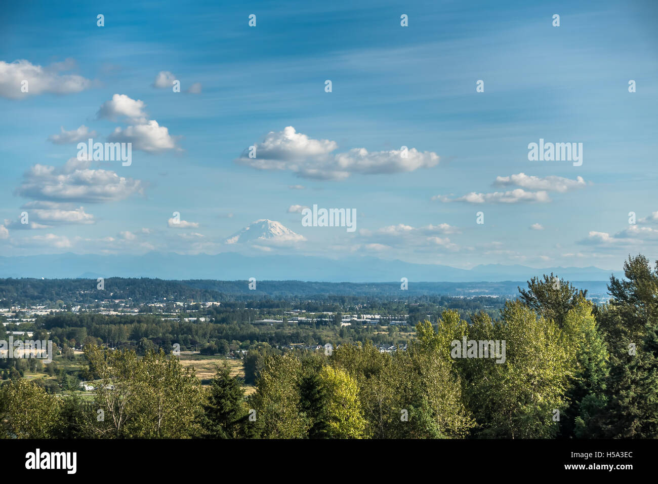 Blick auf Mount Rainier aus Kent, Washington. Stockfoto