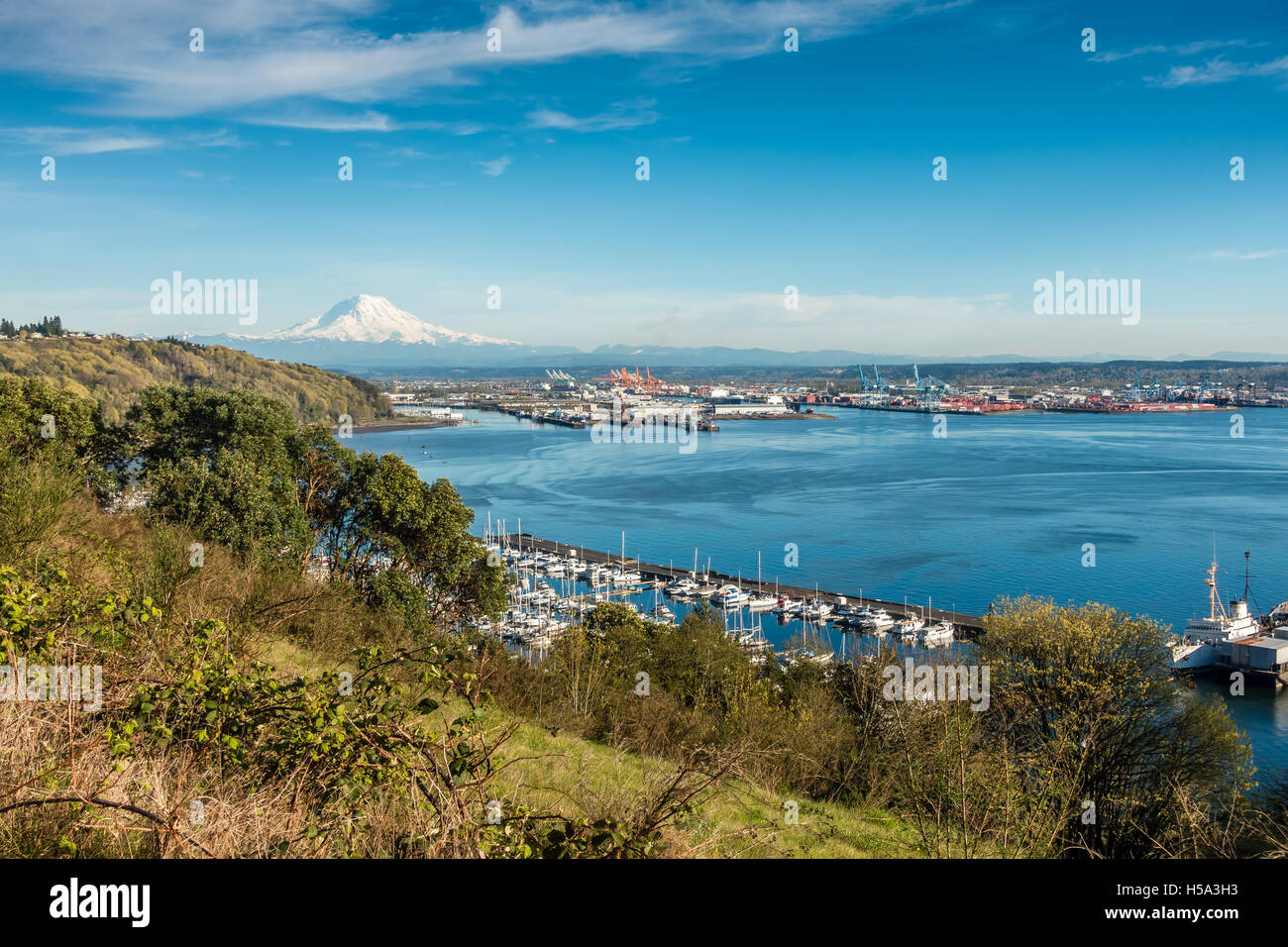 Einen Panoramablick auf Mount Rainier, The Port of Tacoma und einen Yachthafen. Stockfoto