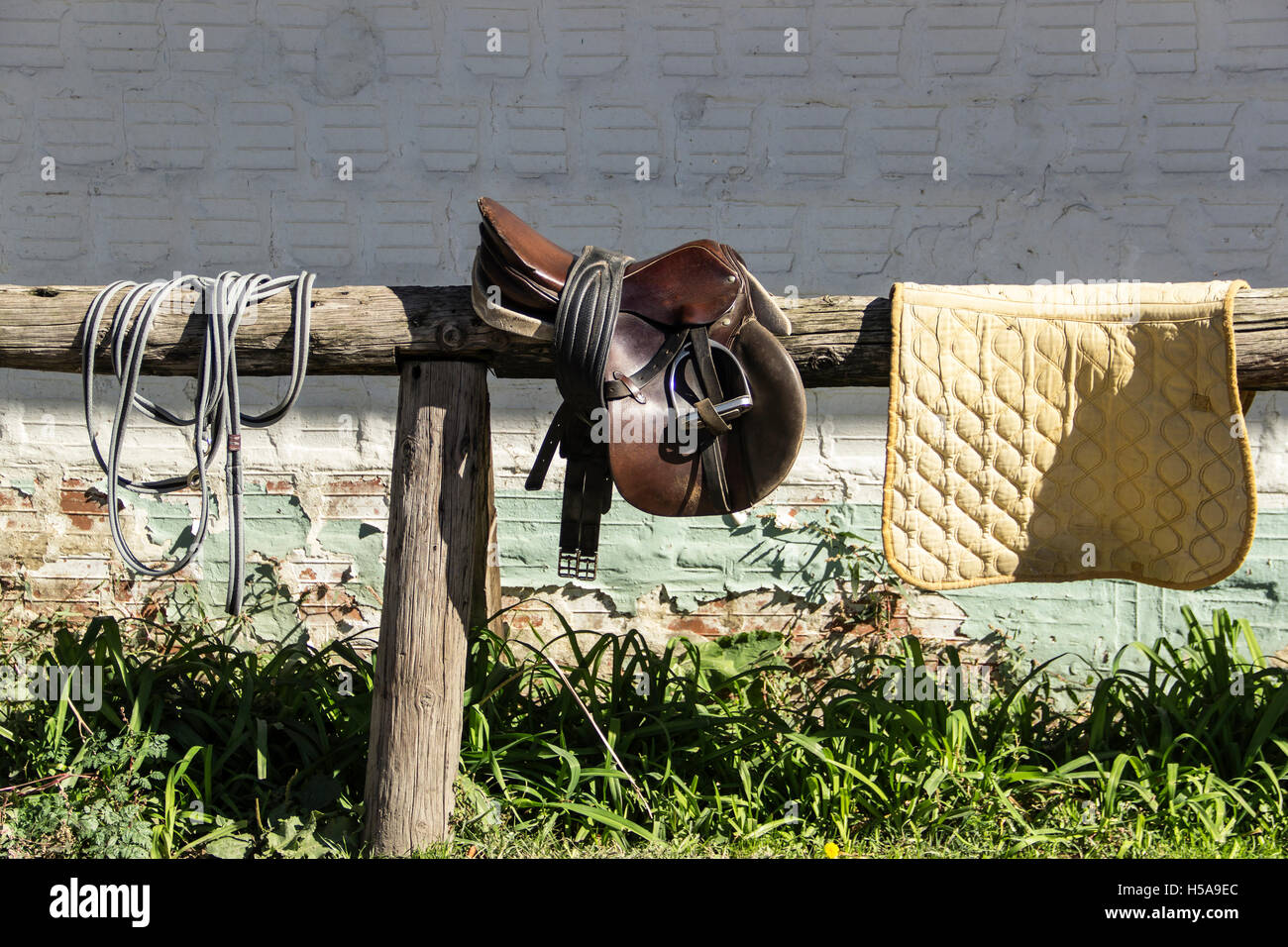 Hippodrom, Serbien - Sattel und Satteldecke auf einem Holzrahmen Stockfoto
