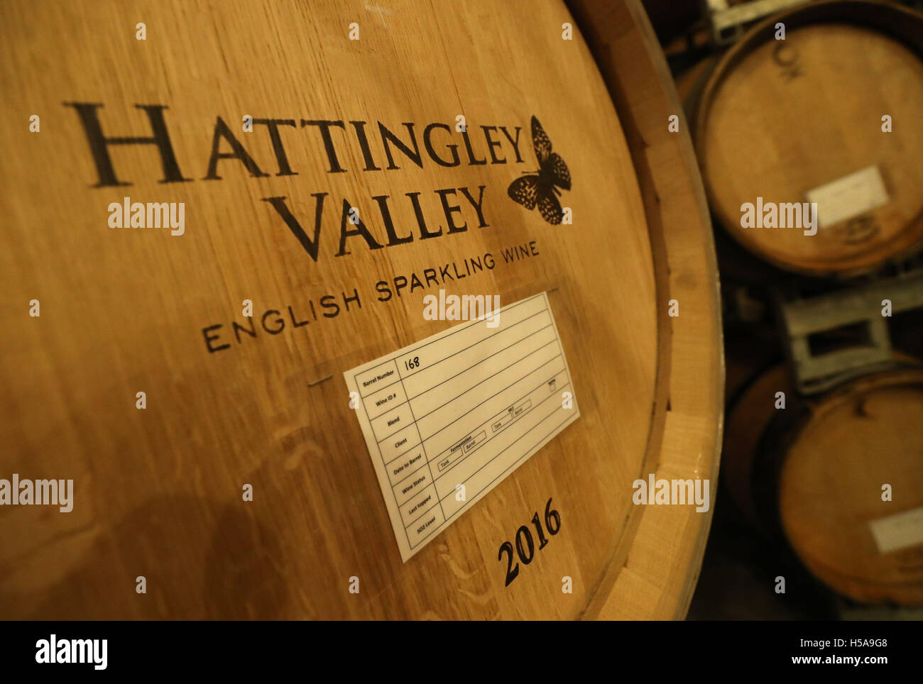 Fässer Wein in Hattingley Valley Winery in Hampshire als die Erntezeit in Gang kommt. Stockfoto