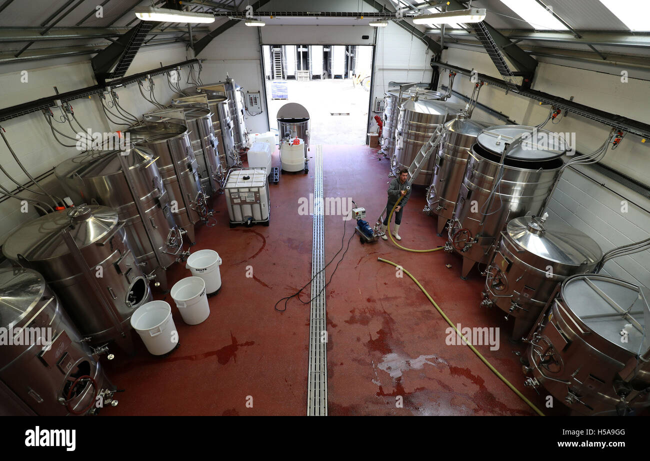 Gesamtansicht der Bottiche in Hattingley Valley Winery in Hampshire als die Erntezeit in Gang kommt. Stockfoto