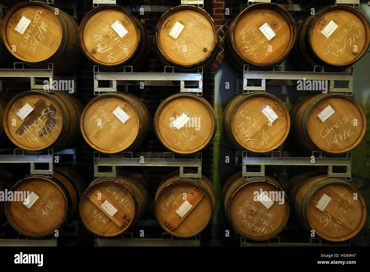 Fässer Wein im Hattingley Valley Winery in Hampshire als die Erntezeit in Gang kommt. Stockfoto