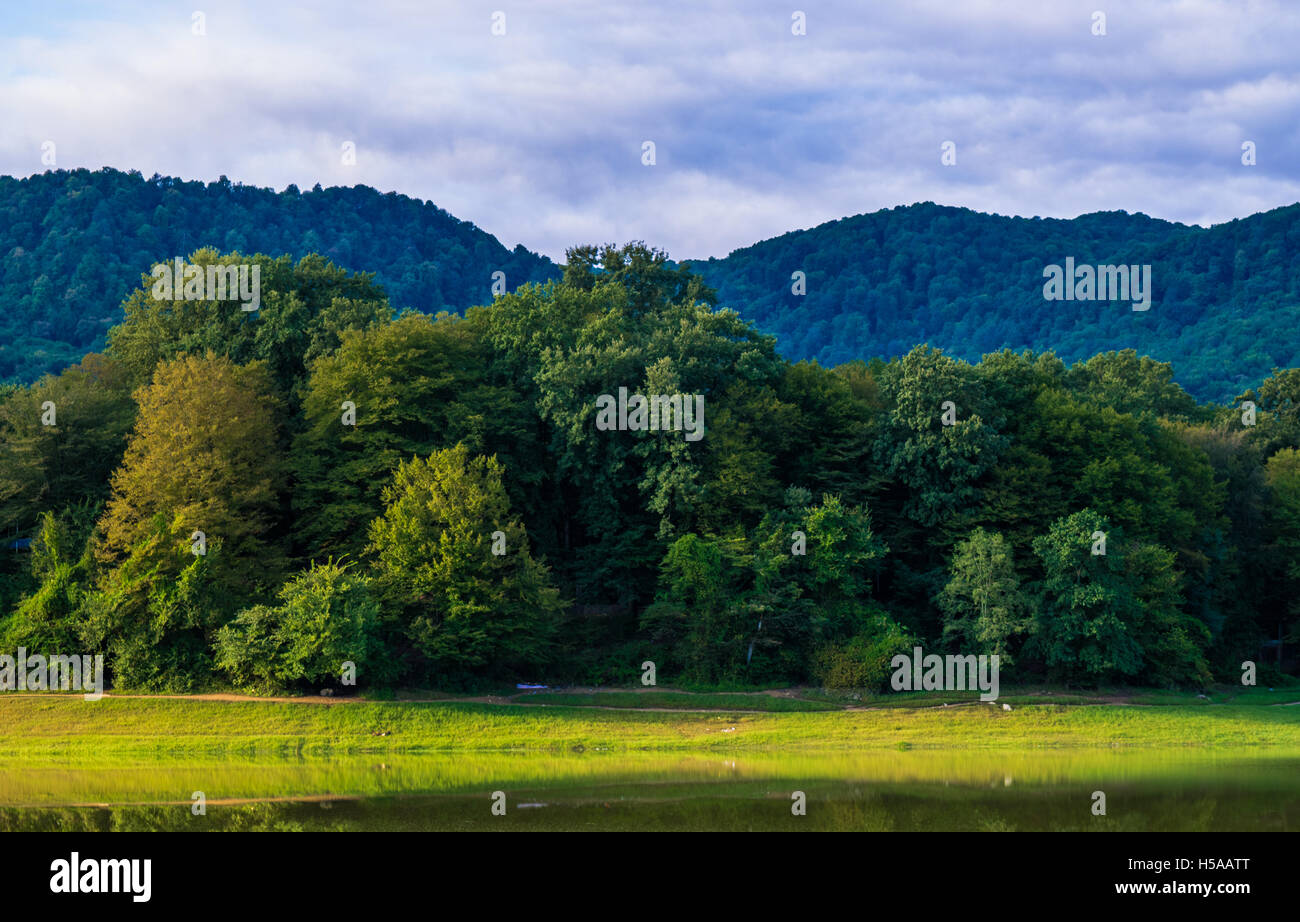 See, Rasen, Bäume und Dschungel Stockfoto