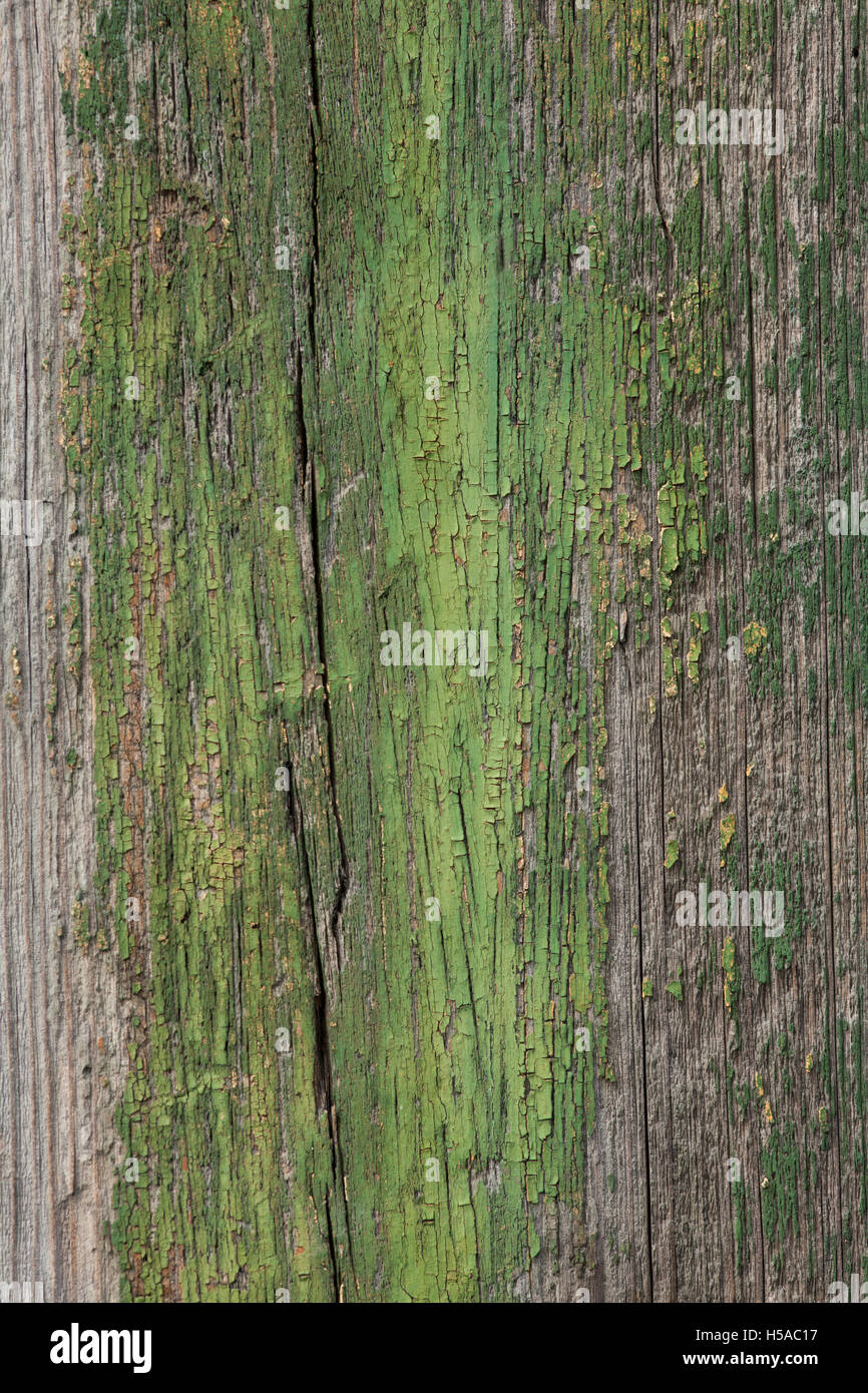 abstrakten grünen Hintergrund oder alten lackierten Holzplatte, Holz Textur Stockfoto