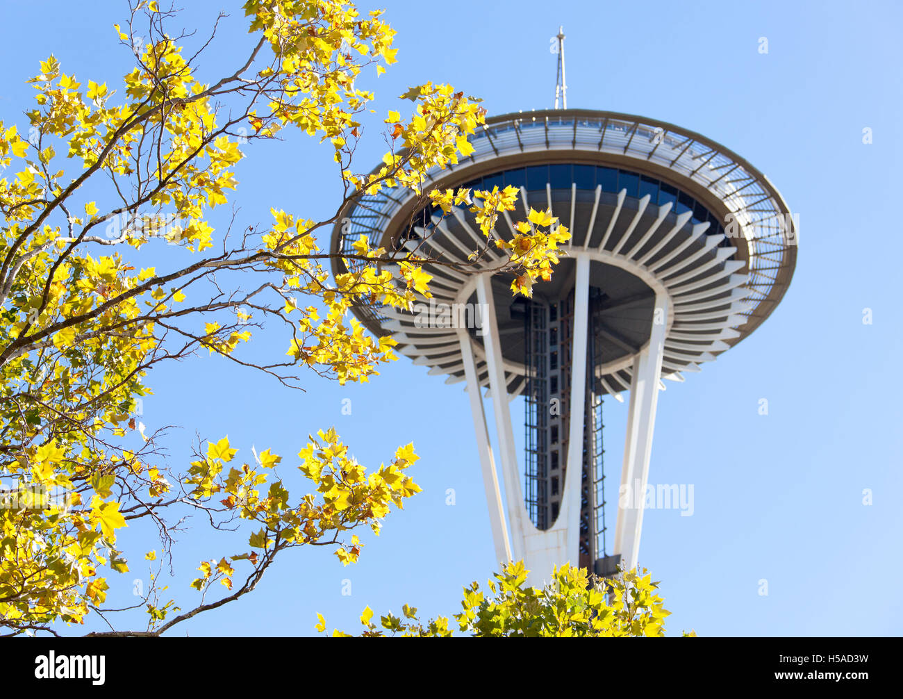 Blätter verändert seine Farbe in Stadt Seattle (Washington). Stockfoto