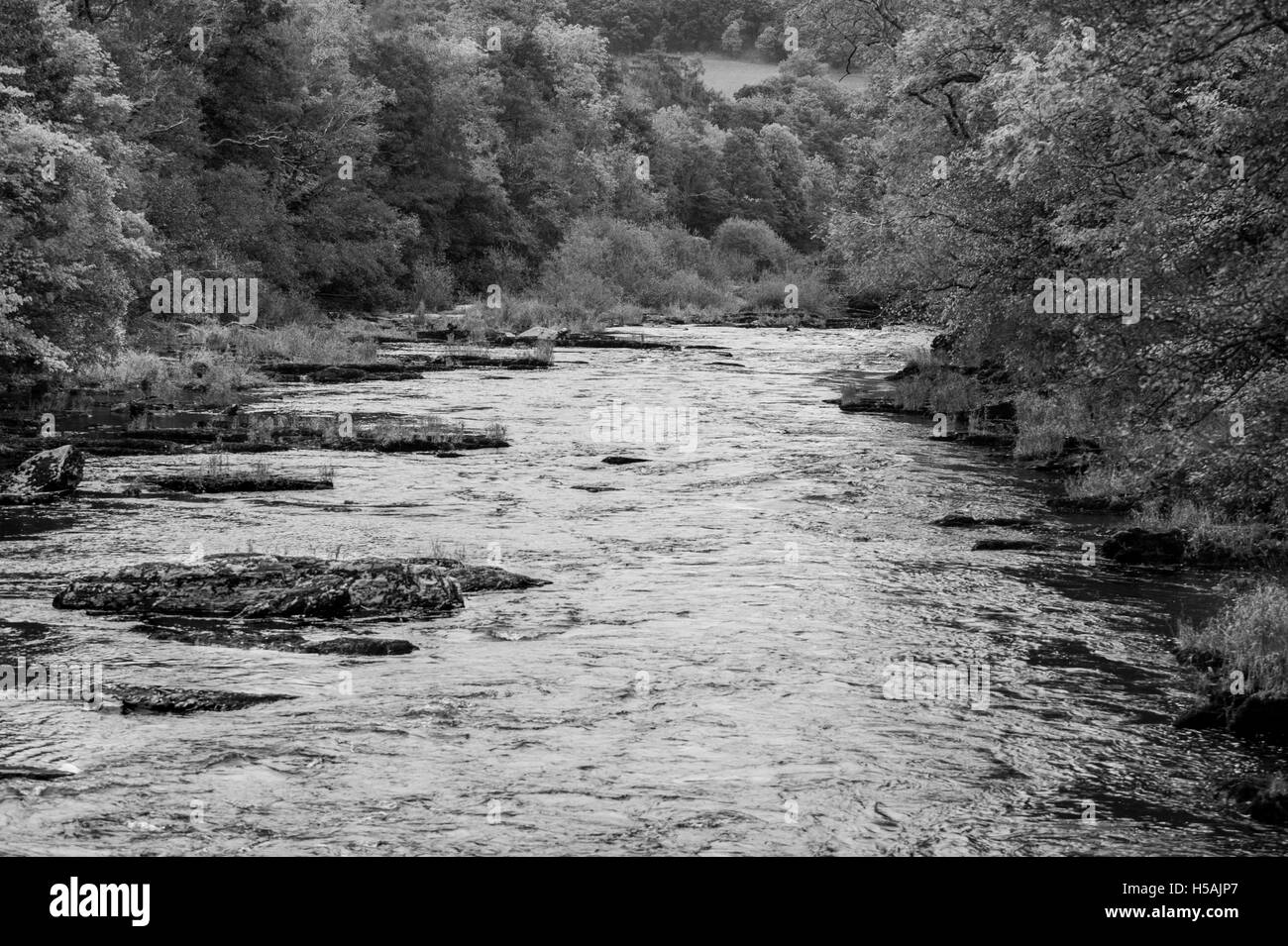 Fluß Dee Berwyn Llangollon Wales Wildwasser Stockfoto