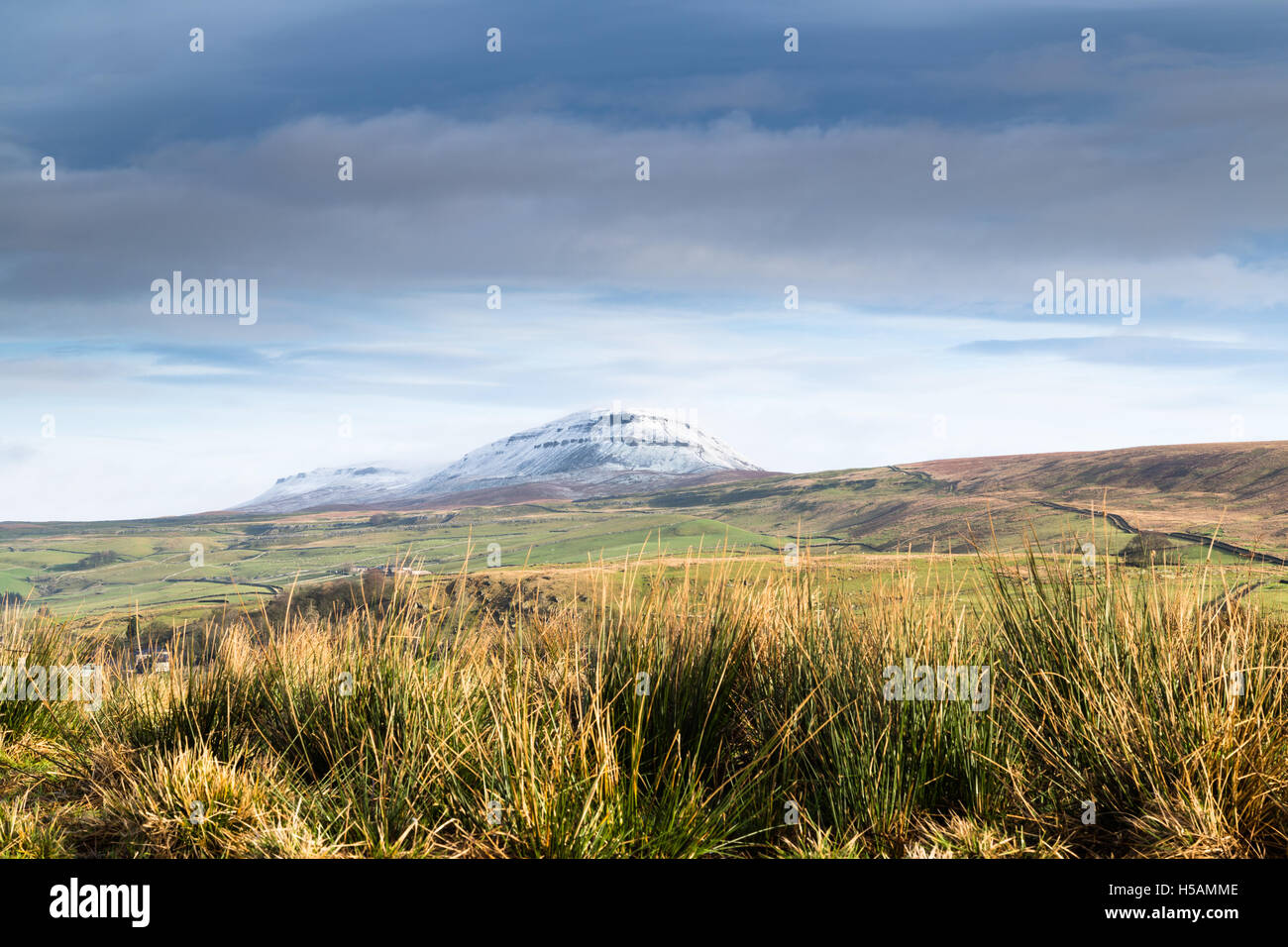 Schneebedeckte Pen-y-Gent, eines der 3 Gipfel in der Yorkshire Dales National Park, UK Stockfoto
