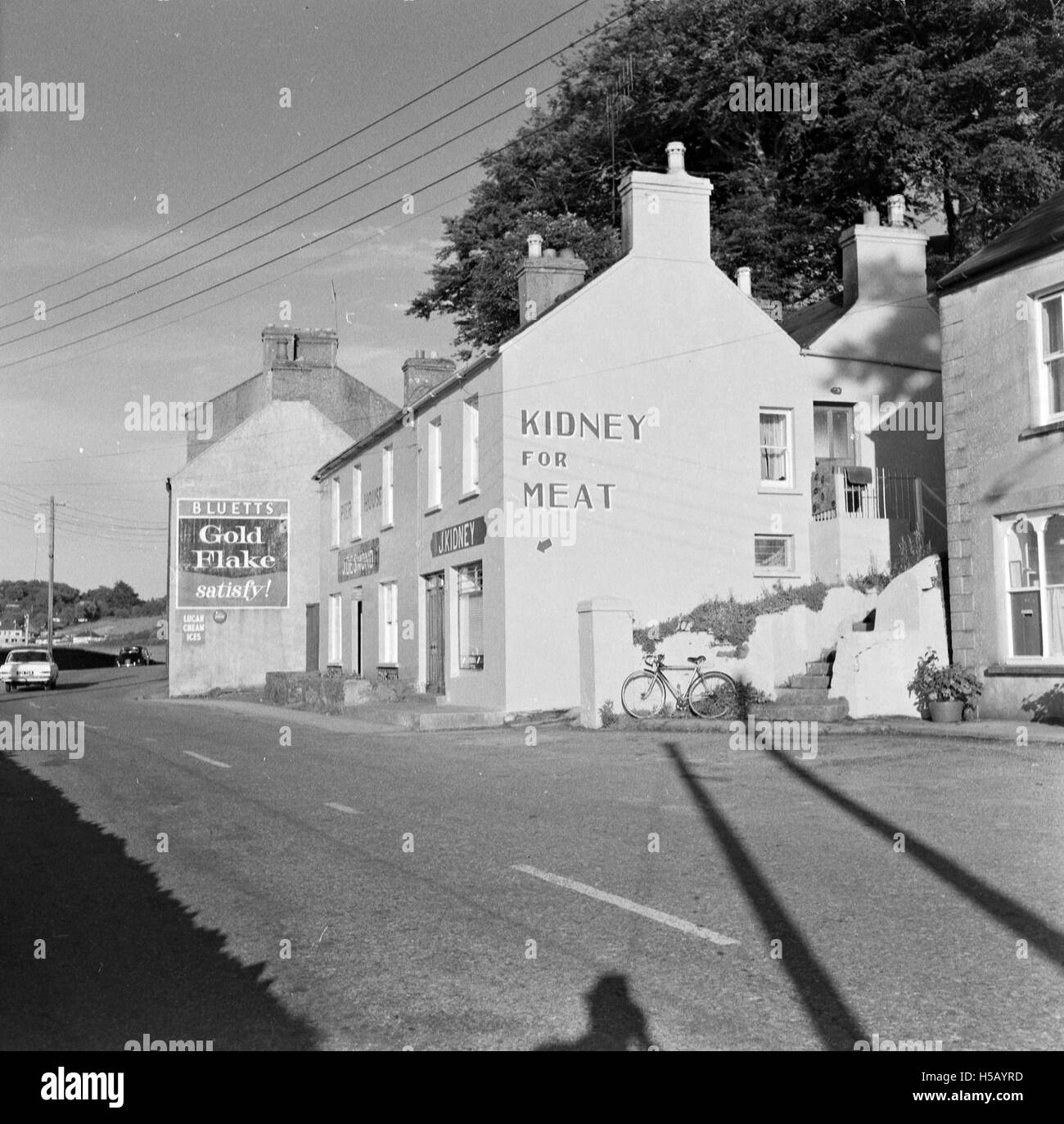 Dieses Foto bezieht sich wahrscheinlich auf eine Sammlung oder Ausstellung von Schlachtnebenerzeugnissen, inneren Organen und Eingeweiden von Tieren. Sie kann mit Kunst, Kulturwissenschaften oder Lebensmittelindustrien in Verbindung stehen, die Schlachtnebenerzeugnisse in ihren Praktiken verwenden. Stockfoto