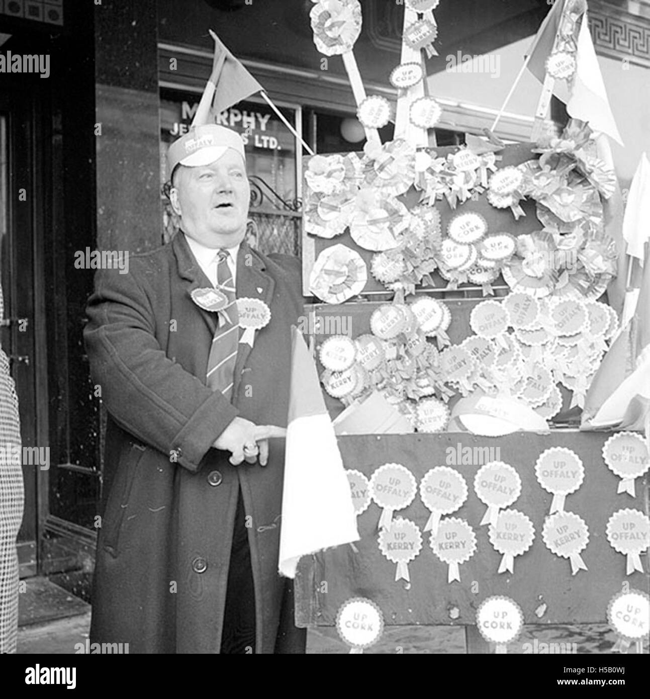Dieses Bild zeigt die Ansicht mehrerer Countys in Irland – Cork, Derry, Kerry und Offaly. Es spiegelt die natürlichen Landschaften und ländlichen Besonderheiten dieser Regionen wider, wobei der Schwerpunkt auf irischer Geographie und landschaftlicher Schönheit liegt. Stockfoto