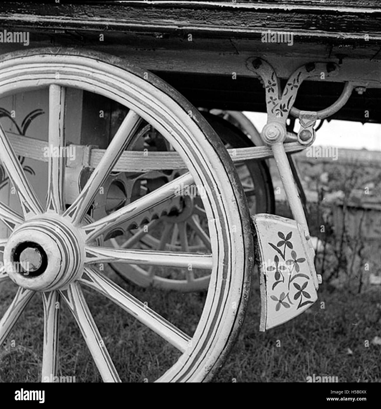 Ein botanisches Foto oder Gemälde mit dem Titel „Fair Flowers“, das die zarte Schönheit und die lebendigen Farben verschiedener Blumen in den Mittelpunkt stellt. Das Bild fängt das Wesen des floralen Lebens und der natürlichen Schönheit ein. Stockfoto