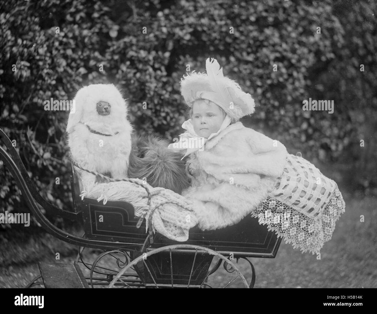 Eine allgemeine Bezugnahme auf Tiere, möglicherweise ein Foto oder eine Veranstaltung mit Haustieren oder Tieren in einer freundlichen Umgebung. Stockfoto