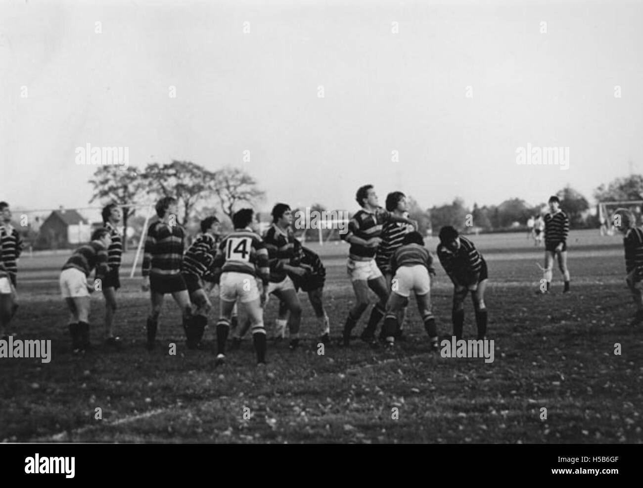 Dieses Foto zeigt ein Rugby-Match, das um 1981 in Malden stattfand. Das Spiel zeigt die sportliche Intensität des Rugby in den frühen 1980er Jahren, einer beliebten Sportart in Großbritannien und weltweit. Stockfoto