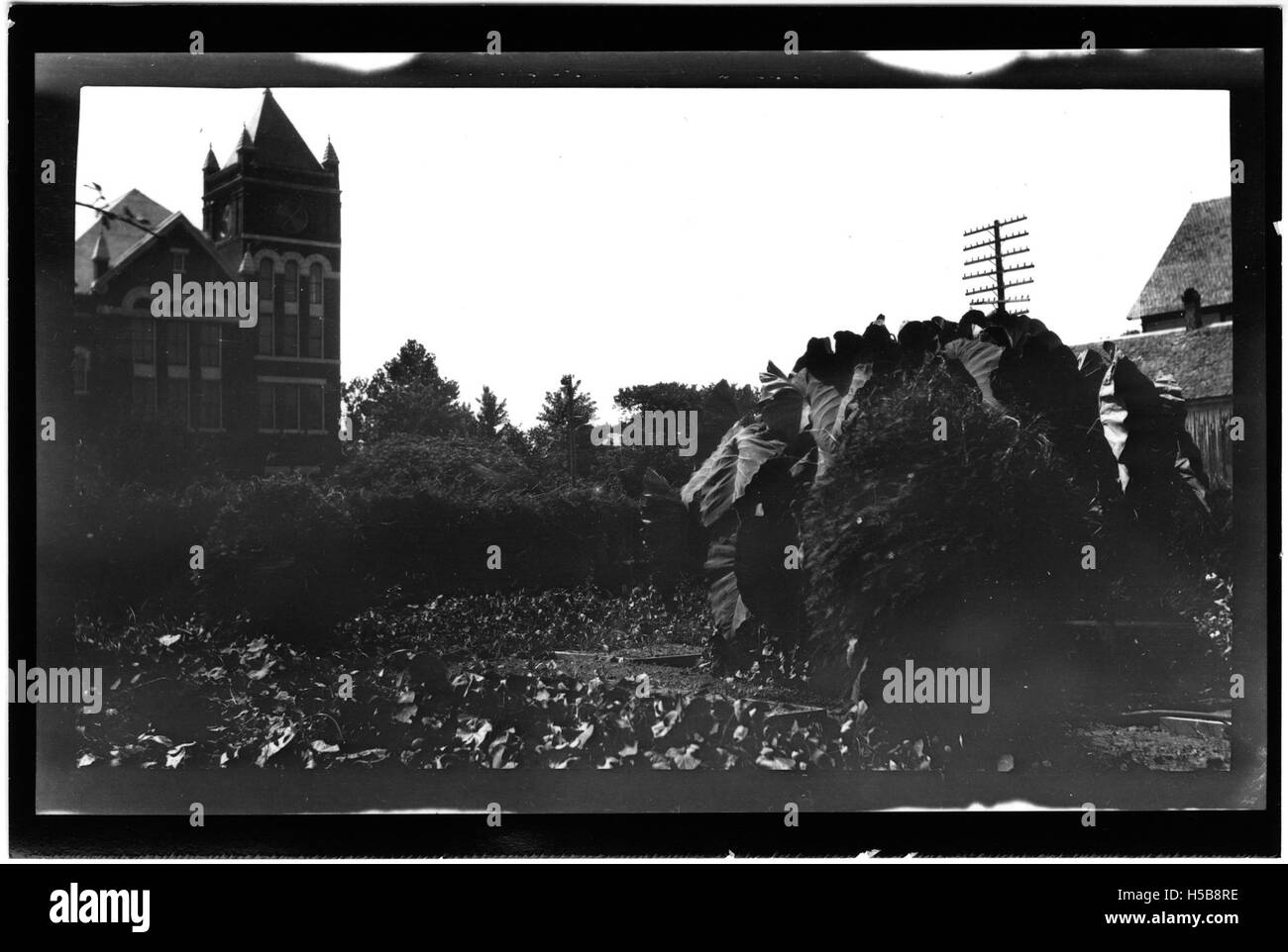 Dieses Bild zeigt einen Blick auf einen Garten aus dem Jahr 1913 und erfasst das Design, die Landschaftsgestaltung und die Atmosphäre von Gärten aus dem frühen 20. Jahrhundert. Die Gärten in dieser Zeit spiegelten oft die ästhetischen Trends der Zeit wider, wobei der Schwerpunkt auf natürlicher Schönheit und Ruhe lag. Stockfoto