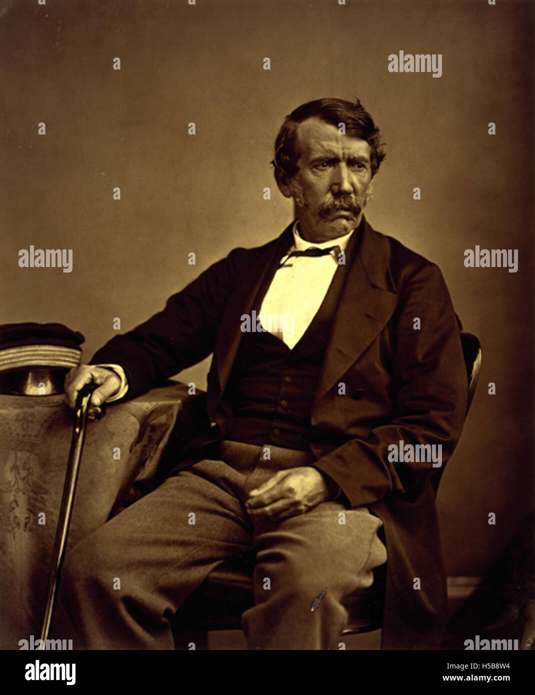 Lleries 3094794021 David Livingstone, 1813-1873. Missionar und Afrikaforscher Stockfoto