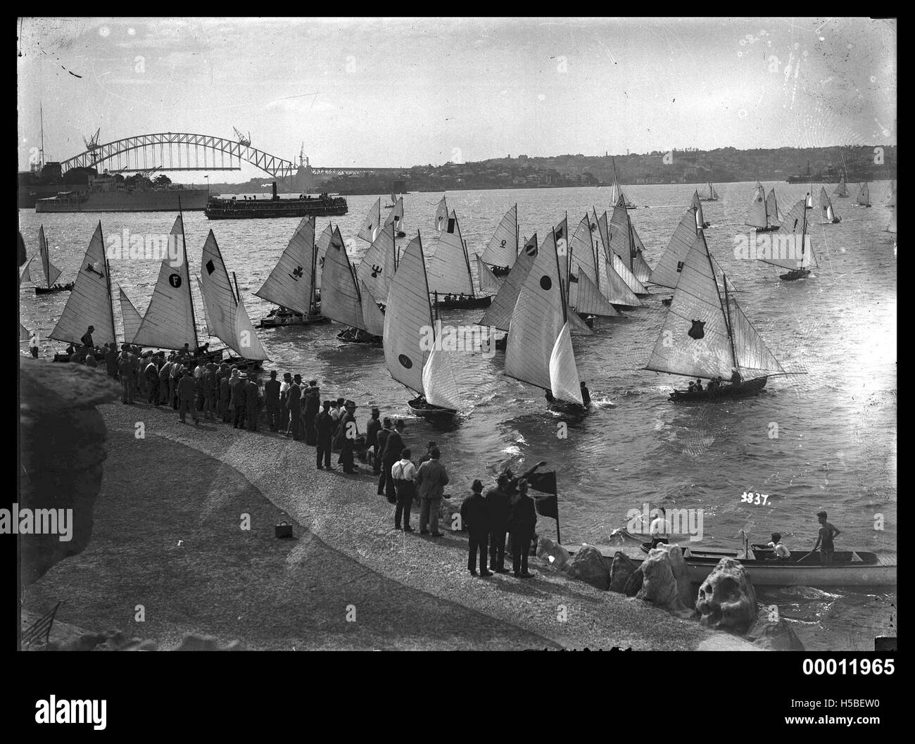 Der Beginn eines Rennens im The Domain, in der Nähe des Hafens von Sydney, Australien. Dieser berühmte Ort wird häufig für öffentliche Veranstaltungen genutzt, darunter Sportwettbewerbe, und bietet einen malerischen Blick auf den Hafen. Stockfoto