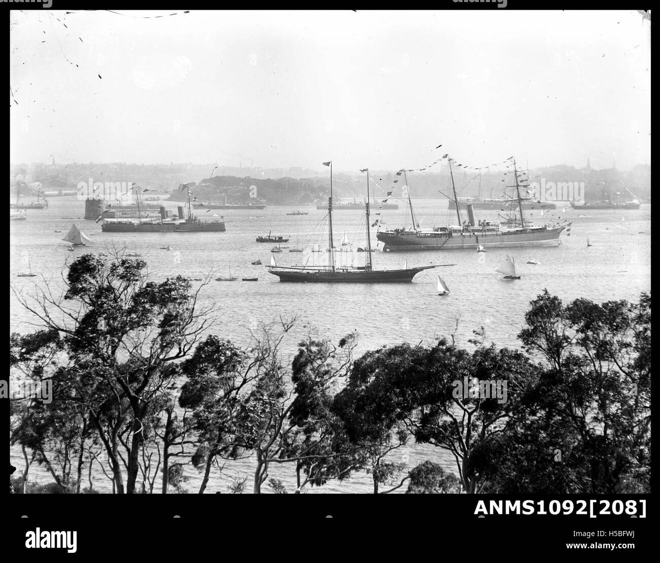 Dieser Blick fängt den Hafen von Sydney während einer Regatta ein und zeigt den Wasserweg und die Boote, die am Segelevent teilnehmen, eingerahmt von der umliegenden Stadtlandschaft. Stockfoto