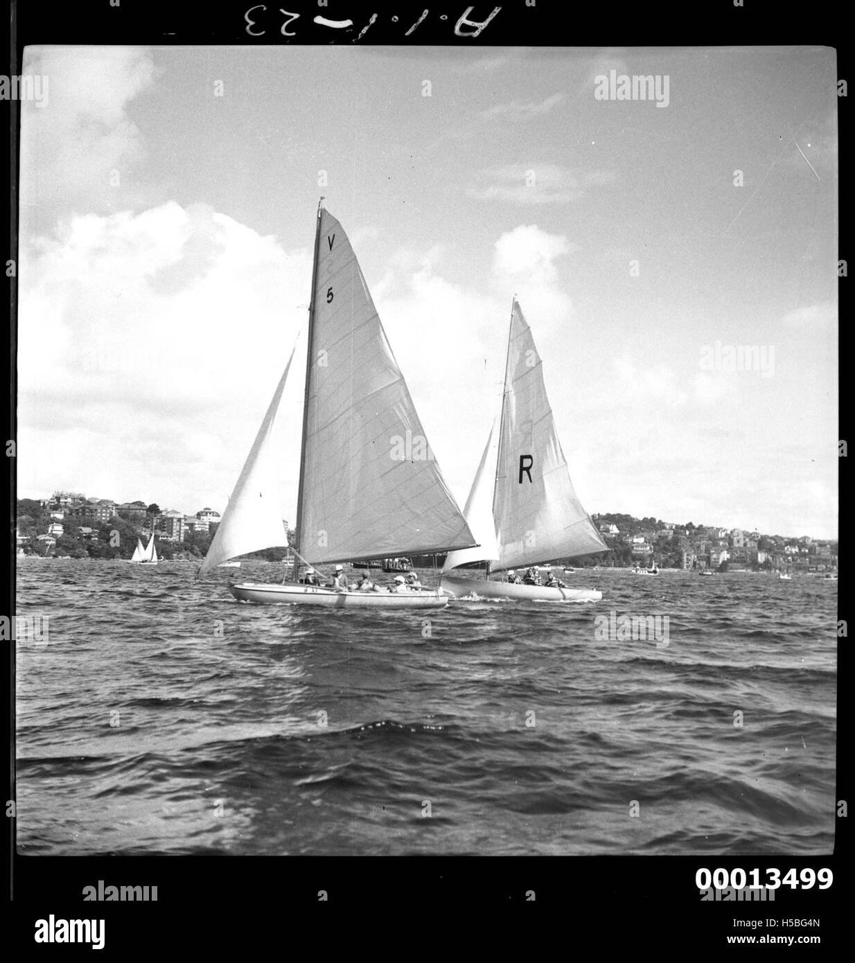 Die neuseeländische 18-Fuß-TARUA und RESULT sind Rennyachten, die im Hafen von Sydney zu sehen sind. Die 18-Fuß-Klasse ist bekannt für das konkurrenzfähige Segeln in Australien und Neuseeland. Stockfoto