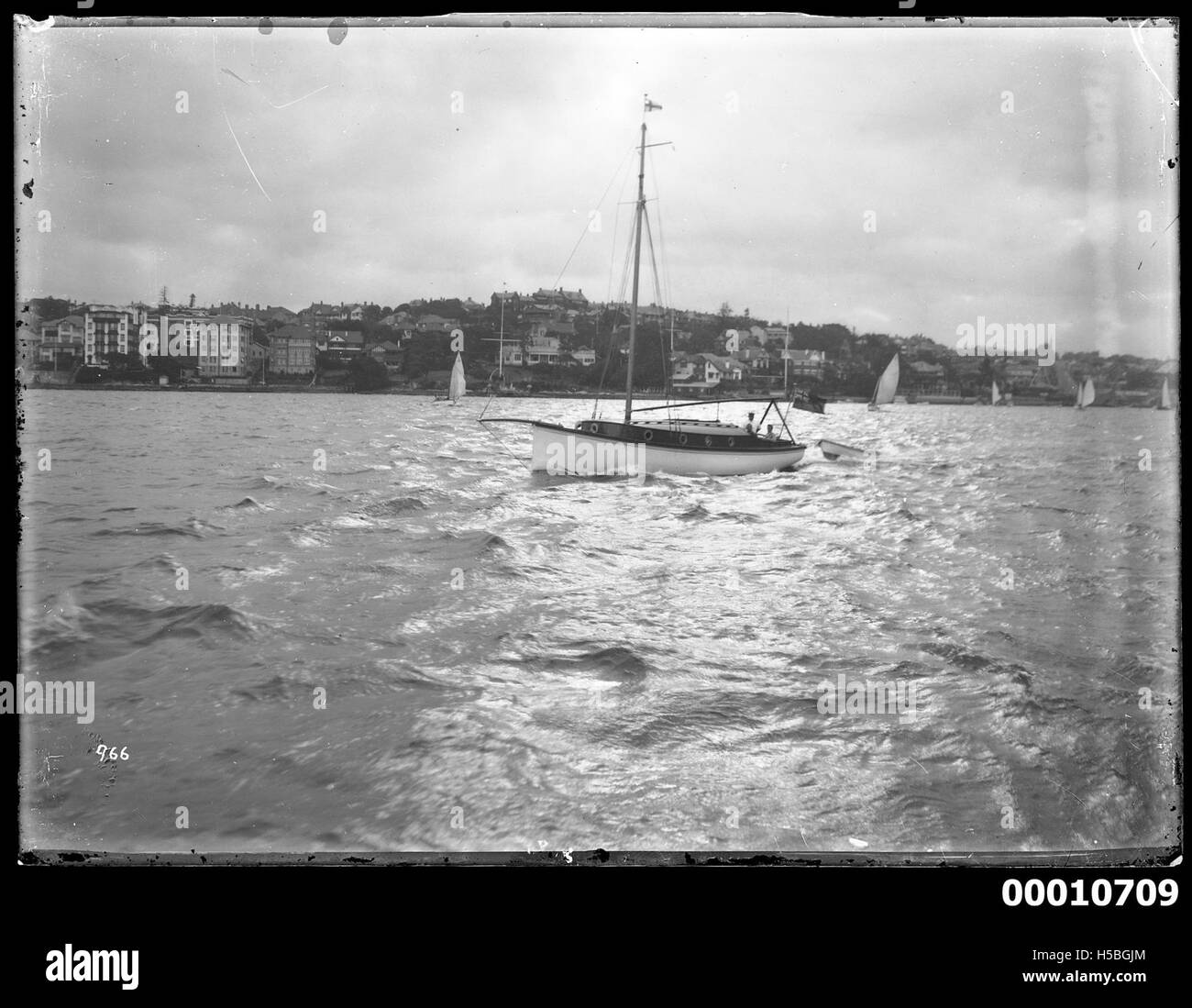 Im Hafen von Sydney, einem beliebten Ort für Freizeit- und Segelaktivitäten, ist eine Yacht zu sehen. Der Hafen ist bekannt für seine malerische Aussicht, berühmte Wahrzeichen und maritime Veranstaltungen, was ihn zu einem Drehkreuz für Bootstouren und maritimen Tourismus macht. Stockfoto