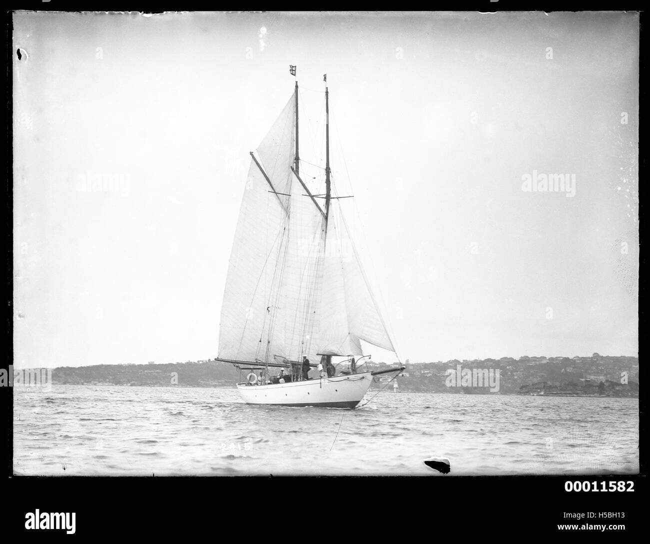 Der Schoner ADA segelt im Hafen von Sydney zwischen Chowder Bay und Watsons Bay. Das Foto fängt die klassische Schönheit des Schiffes ein, während es durch das ikonische Hafenwasser fährt. Stockfoto