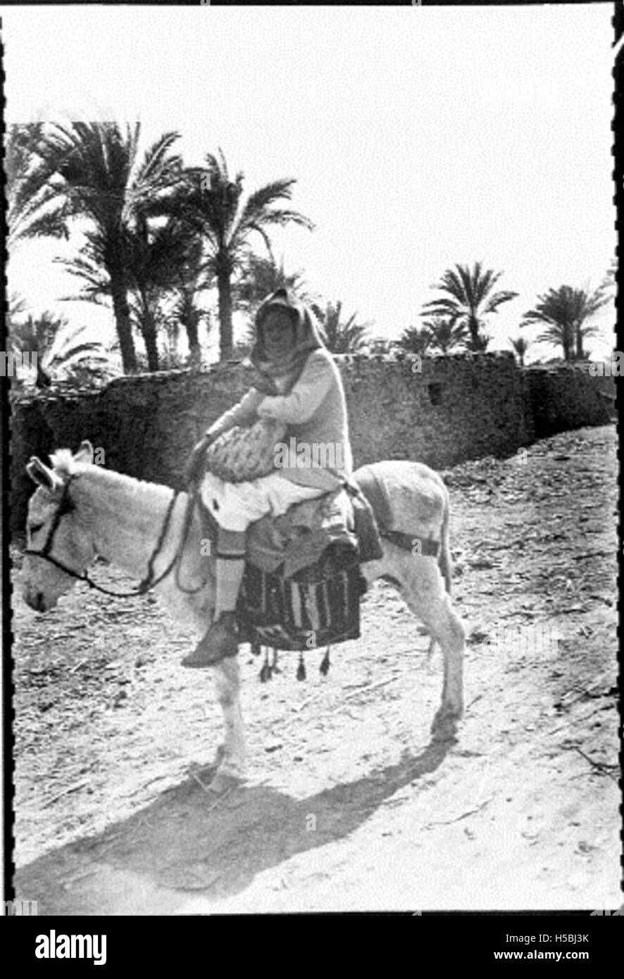 Reiten einen Esel, Suez, Ägypten Stockfoto