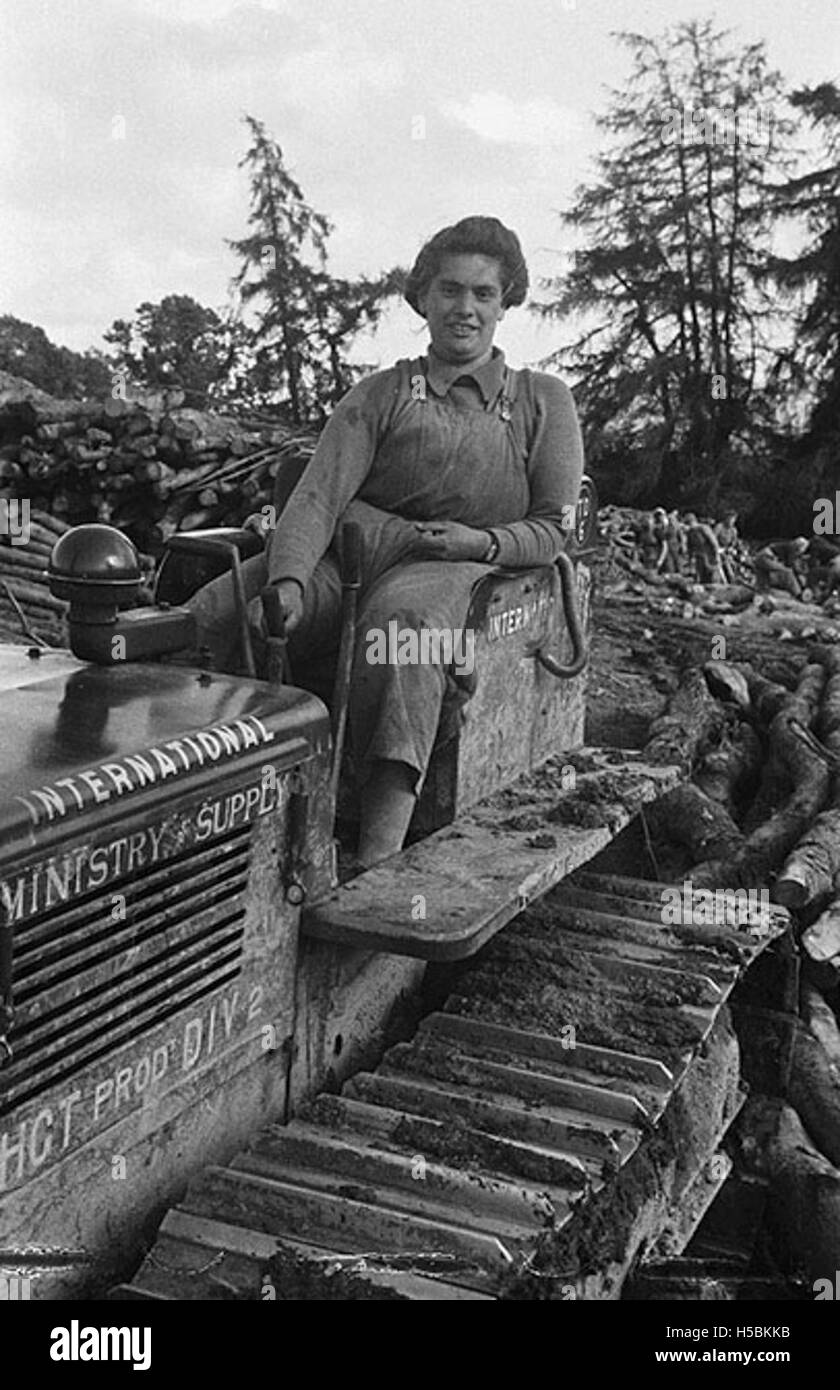 Frauen der Women's Land Army werden in Gunley Hall, Welshpool, gezeigt, wie sie Schnittholz bewegen. Die Landarmee war ein wichtiger Teil der britischen Landarbeiter während des Zweiten Weltkriegs und half bei Aufgaben wie der Holzsammlung für Kriegsbedürfnisse. Stockfoto