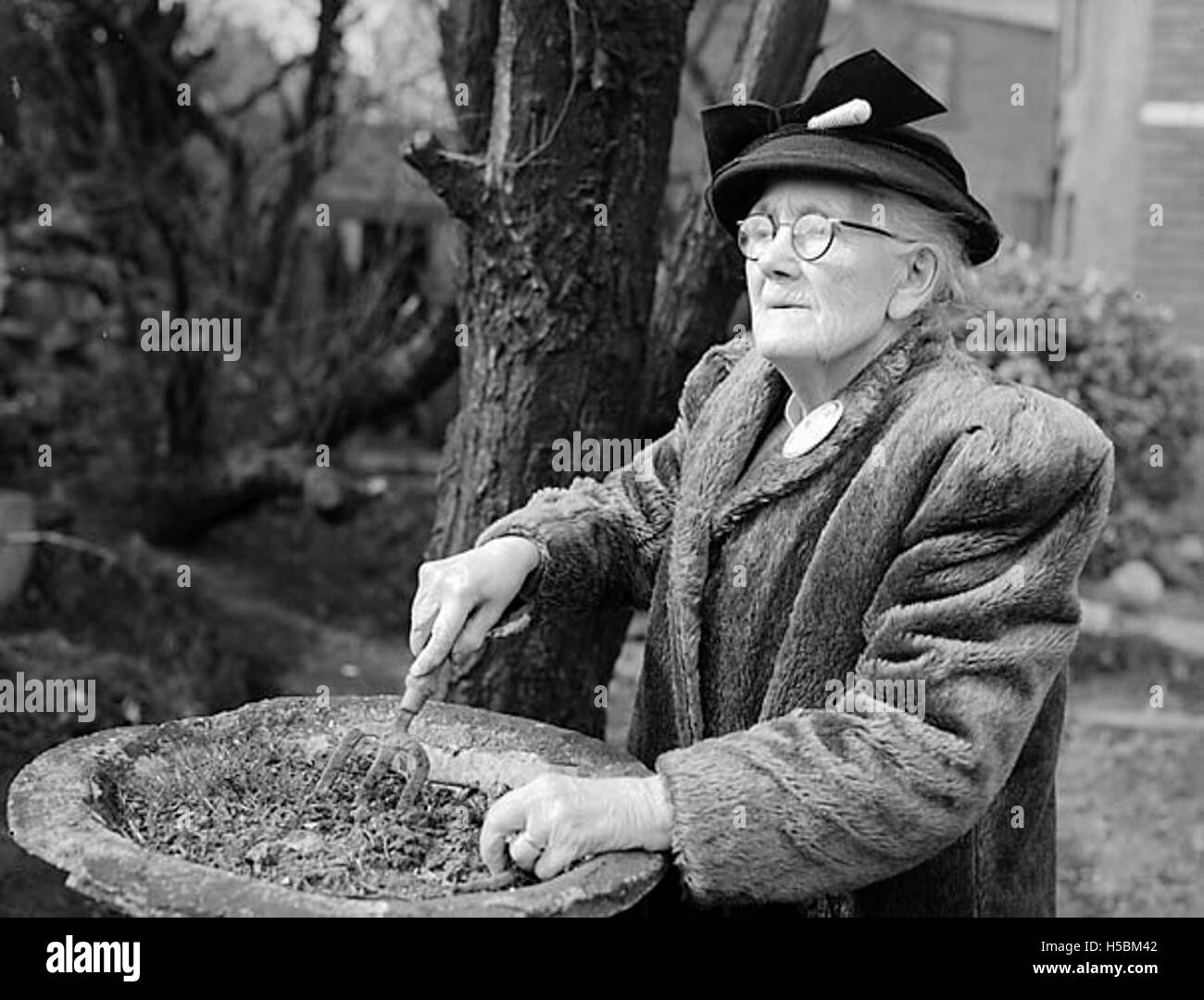 Frau Jones, Ponciau, Rhosllannerchrugog, Mutter von T W Jones, MP, und Idwal Jones, MP Stockfoto