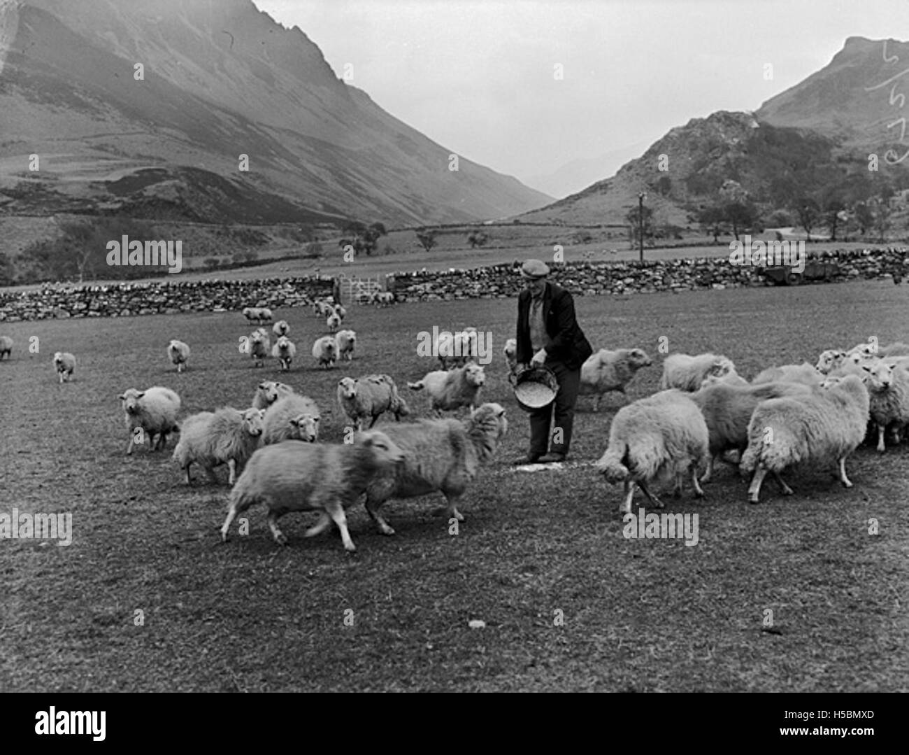 W J Jones war ein prominenter Tenor aus dem Nantlle Valley, Wales, bekannt für seine Beiträge zur walisischen Musik und Kultur. Er wurde für sein Gesangstalent und seine Auftritte in Solo- und Chorbesetzungen gefeiert und spielte eine wichtige Rolle im musikalischen Leben der Region. Stockfoto