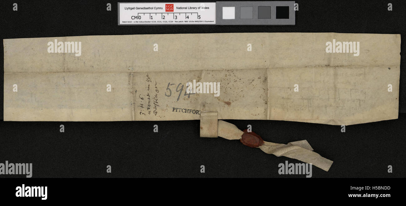 Die NLW Pitchford Hall Deeds 594 Back ist Teil einer Sammlung, die historische Landtransaktionen in Wales dokumentiert. Diese Aufzeichnungen geben Einblicke in Eigentum und Rechtsfragen aus dem Mittelalter, insbesondere aus dem 14. Jahrhundert. Stockfoto