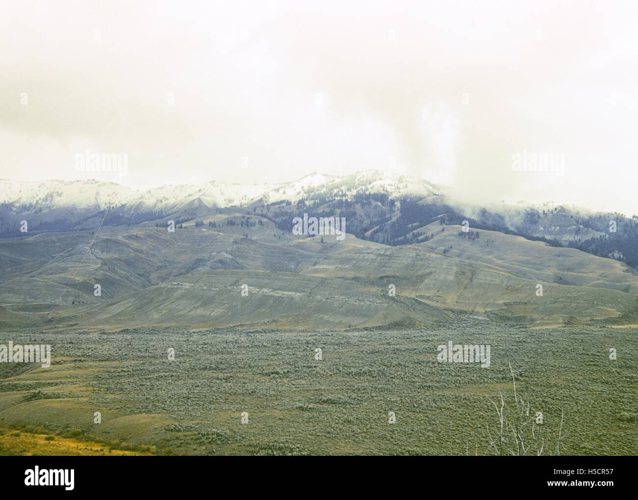 Ein Feld mit einem Berg im Hintergrund, 1970 Stockfoto