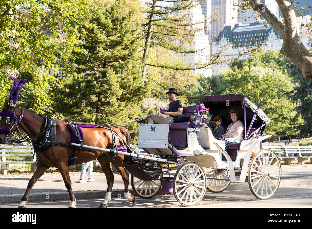 Touristen / Besucher erleben die Schönheit von New York City und den Central Park auf Pferd und Kutsche fahren Stockfoto