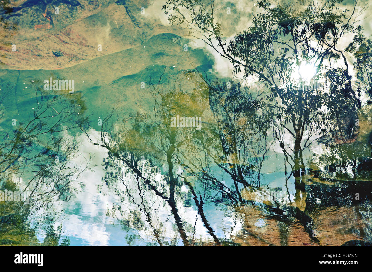 Baum und Himmel Reflexionen in einem flachen Sandstein Bachbett Stockfoto