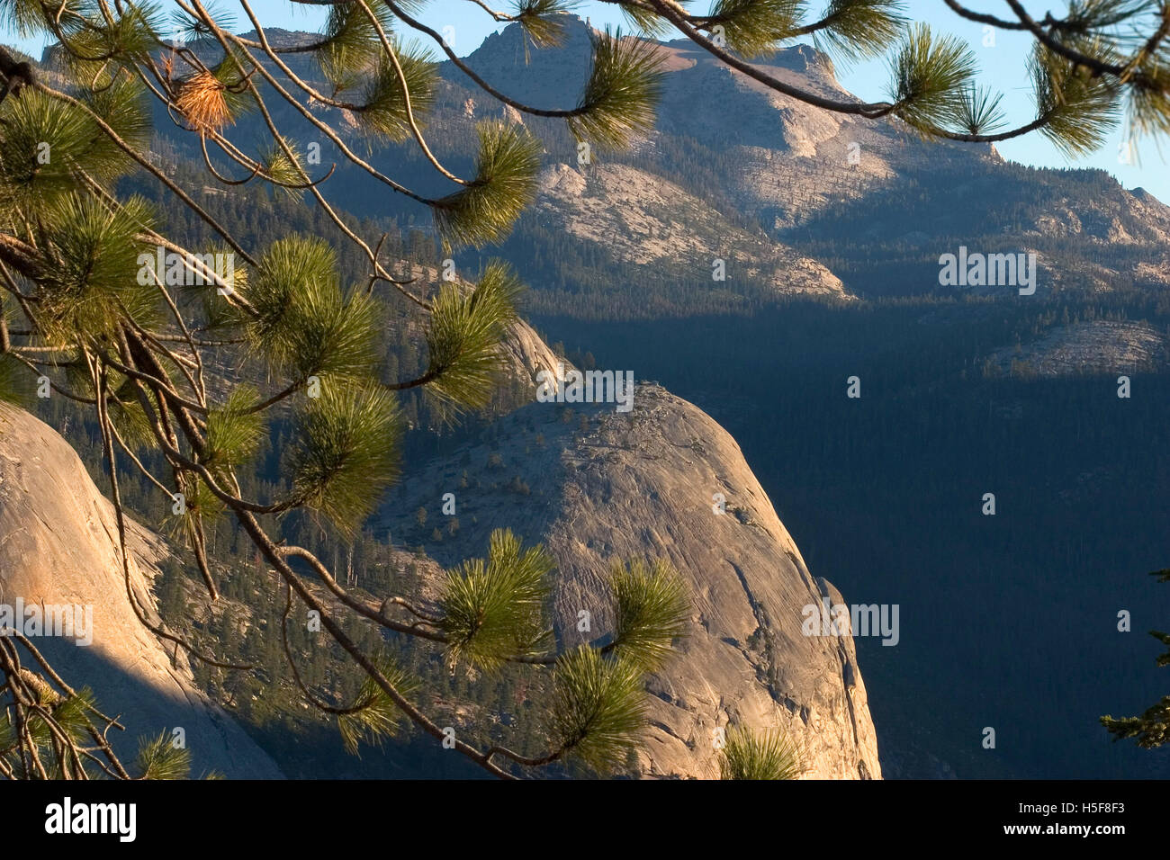 27. November 2005; Yosemite, CA, USA; Sonnenaufgang am North Dome. Yosemite National Park ist fast 1.200 quadratische Meilen von malerischen wilden Länder beiseite 1890 von John Muir, die zentralen Sierra Nevada zu bewahren. Von 2.000 Fuß über dem Meeresspiegel bis hin zu mehr als 13.000 Fuß, hat der Park alpinen Wildnis, 3 Mammutbäume und Yosemite Valley. "Das unvergleichliche Tal" genannt, ist Yosemite ein Gletscher geformten Canyon. Springende Wasserfälle, inspirierte abgerundete Kuppeln, massiven Monolithen und hoch aufragenden Klippen Dichter, Maler, Fotografen und Millionen von Besuchern. Offene Wiesen mit Wildblumen, o Stockfoto