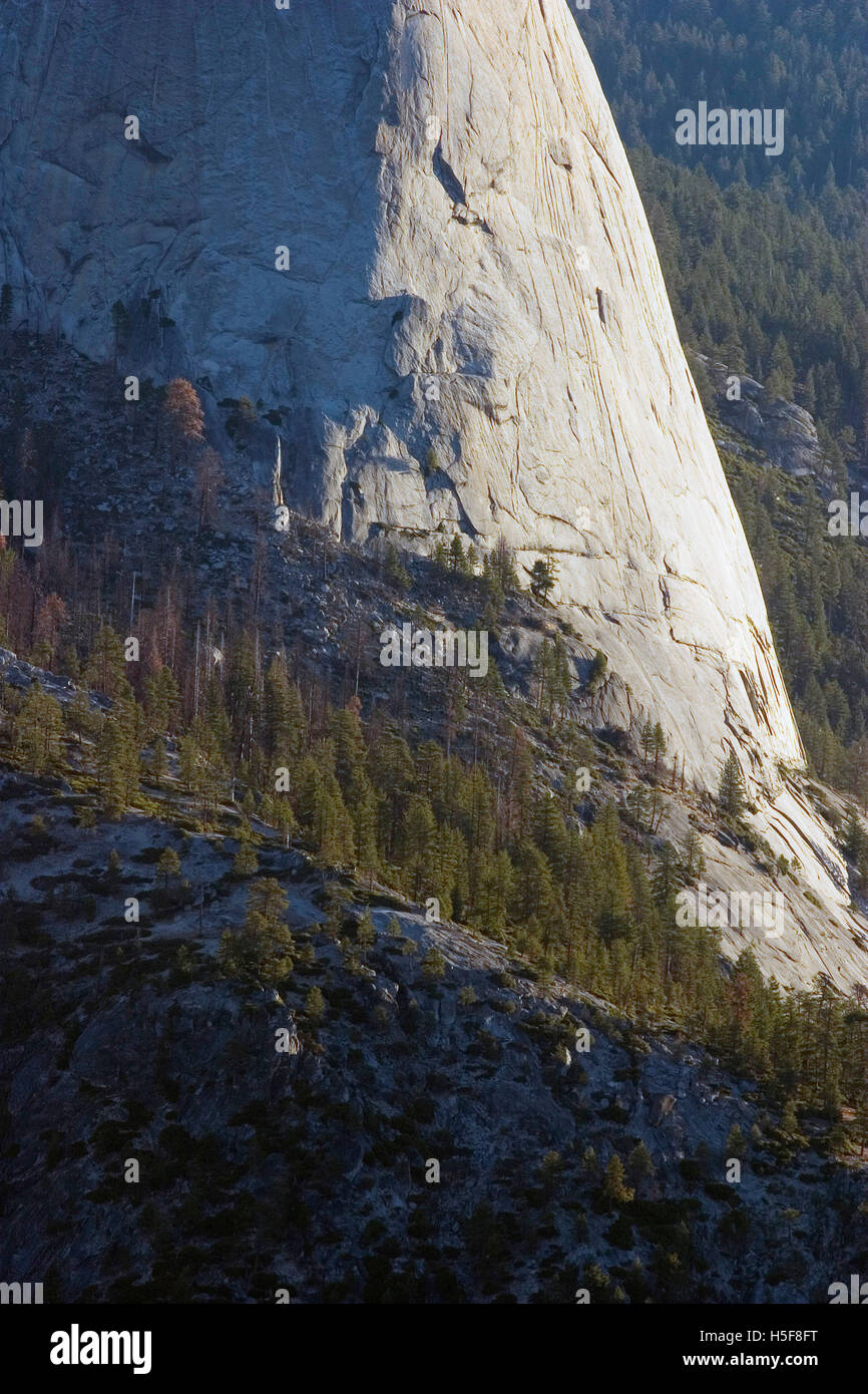 27. November 2005; Yosemite, CA, USA; Sonnenaufgang am Half Dome. Yosemite National Park ist fast 1.200 quadratische Meilen von malerischen wilden Länder beiseite 1890 von John Muir, die zentralen Sierra Nevada zu bewahren. Von 2.000 Fuß über dem Meeresspiegel bis hin zu mehr als 13.000 Fuß, hat der Park alpinen Wildnis, 3 Mammutbäume und Yosemite Valley. "Das unvergleichliche Tal" genannt, ist Yosemite ein Gletscher geformten Canyon. Springende Wasserfälle, inspirierte abgerundete Kuppeln, massiven Monolithen und hoch aufragenden Klippen Dichter, Maler, Fotografen und Millionen von Besuchern. Offene Wiesen mit Wildblumen, oa Stockfoto