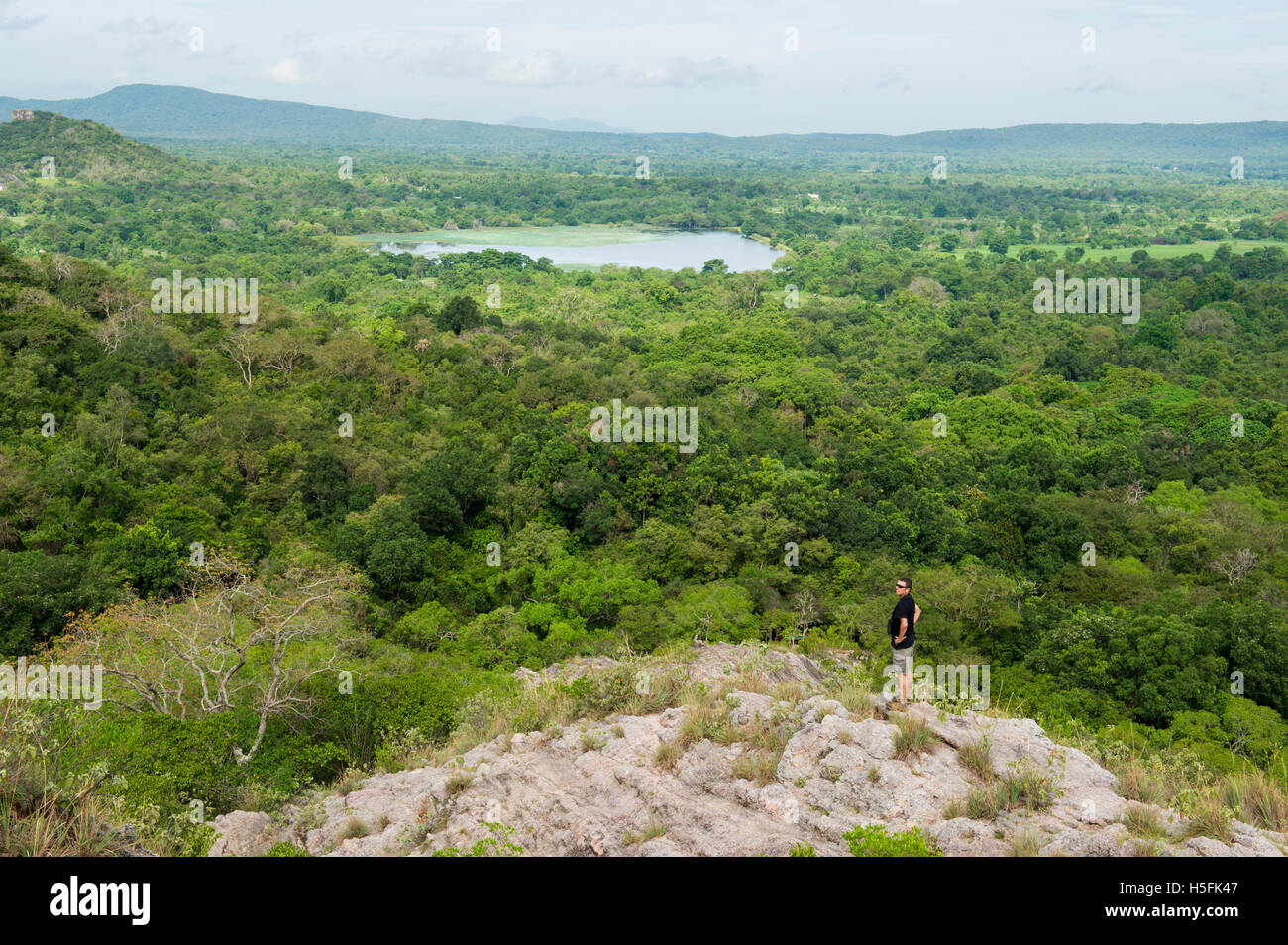 Rosenquarz-Bergkette in Jathika Namal Uyana Waldreservat, Sri Lanka Stockfoto