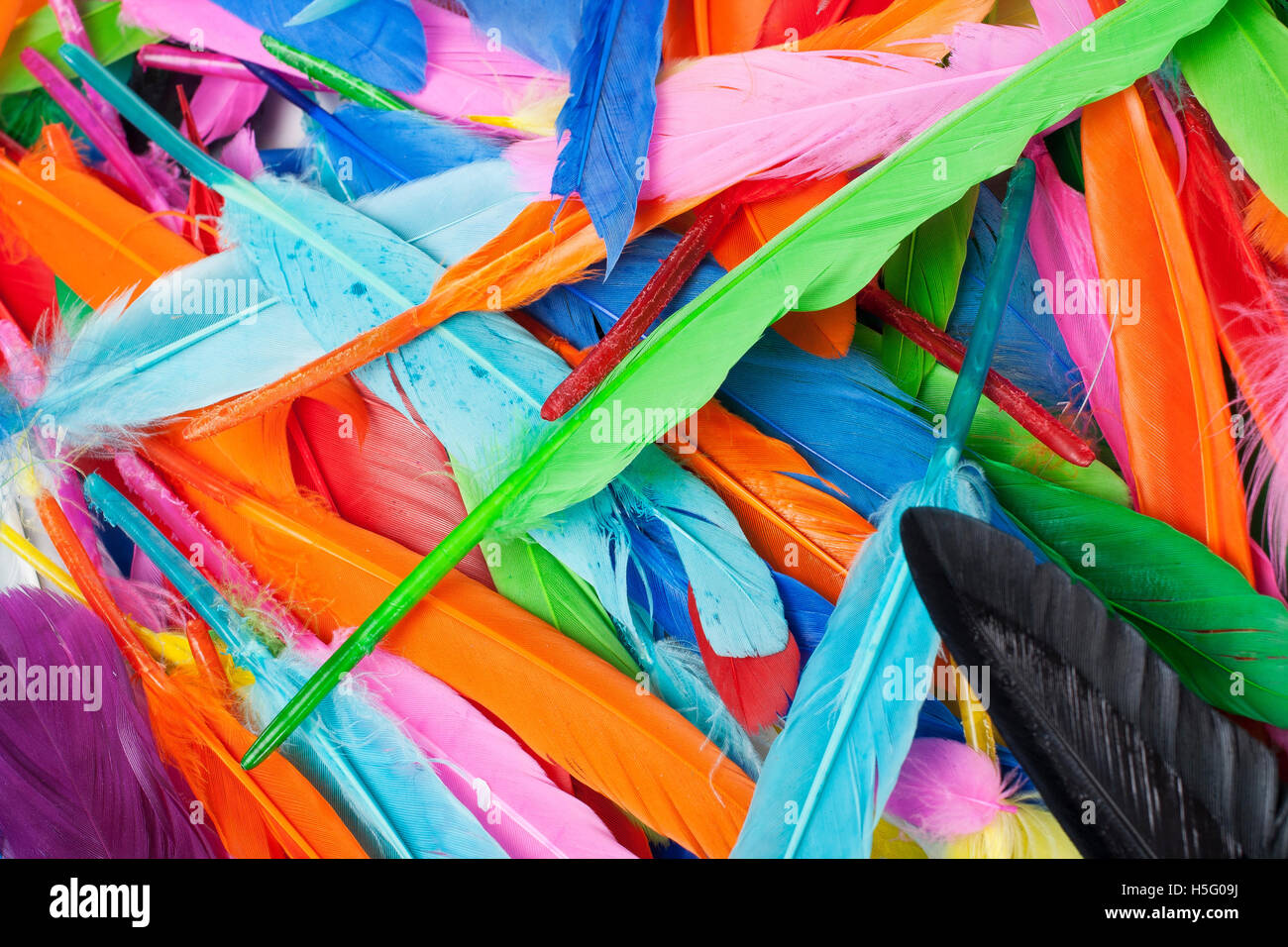 Kreatives Hobby tools real gefärbten Vogelfedern für Kleider Dekorationen oder jede andere Verwendung. Textur Hintergrund von der Regenbogen Farben Stockfoto