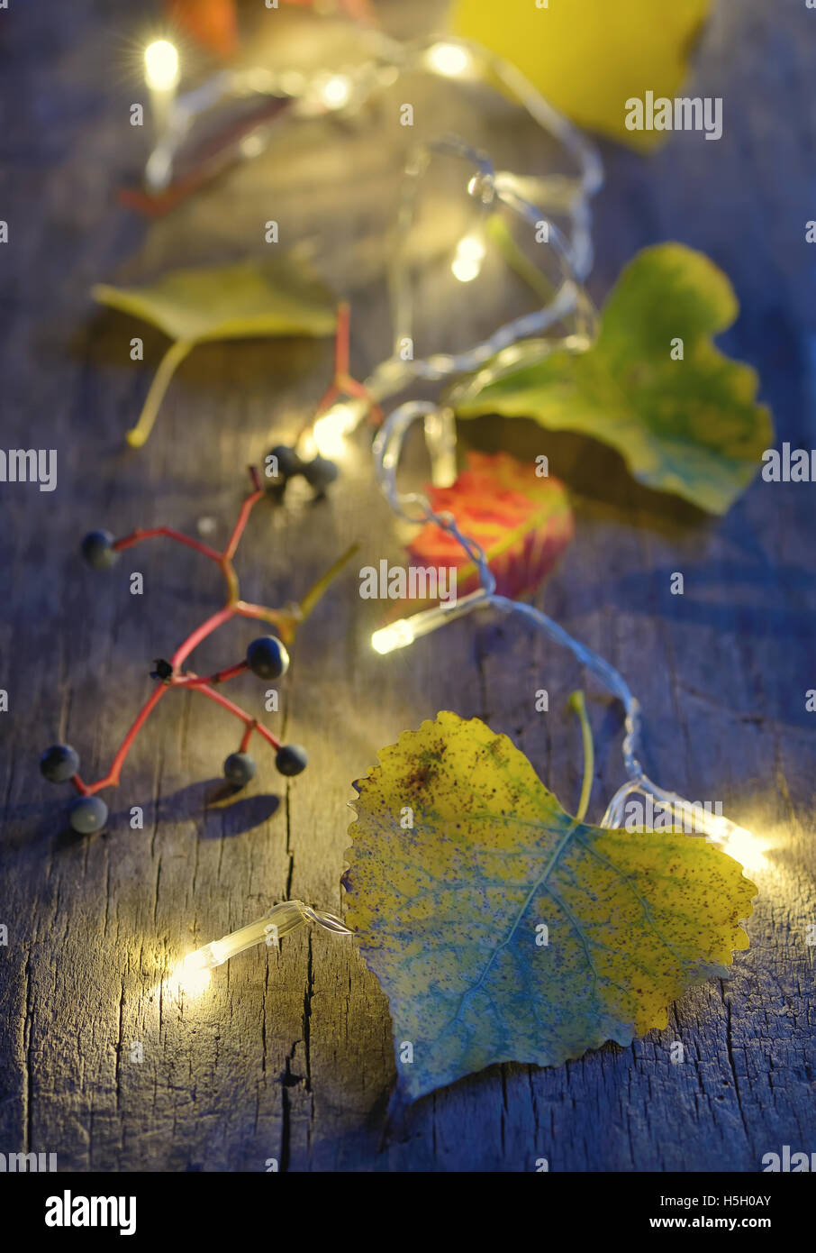 Herbstlaub auf hölzernen Brett und Weihnachten Lichter Glühen Stockfoto