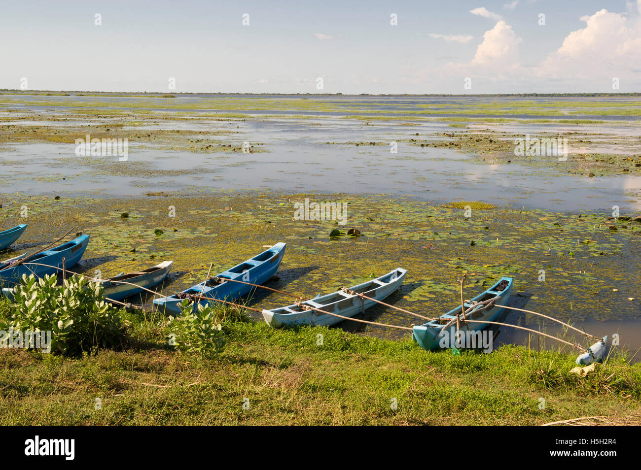 Angelboote/Fischerboote auf der Riesen, Bewässerung Panzer in der Nähe von Mannar, Sri Lanka Stockfoto