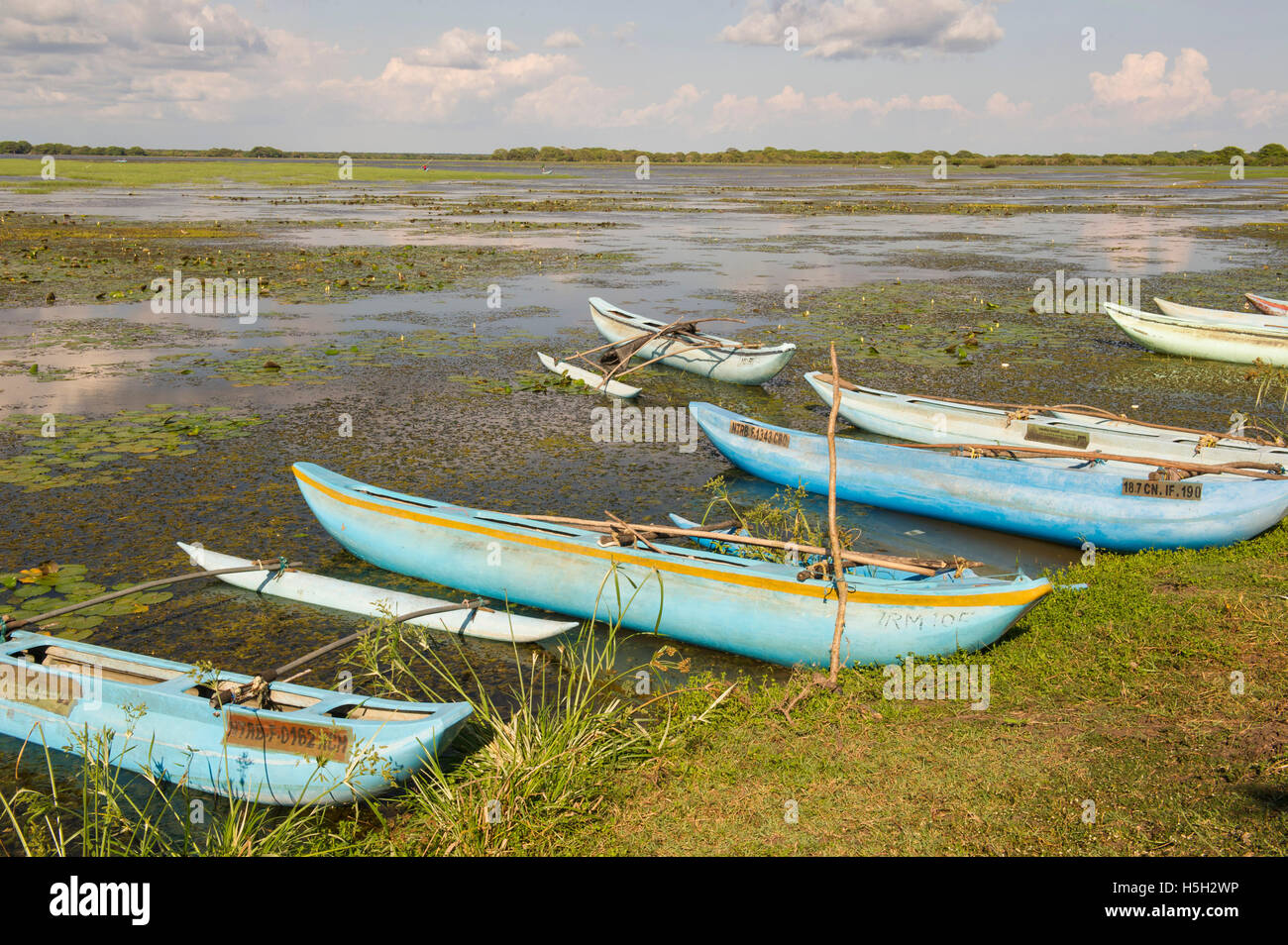 Angelboote/Fischerboote auf der Riesen, Bewässerung Panzer in der Nähe von Mannar, Sri Lanka Stockfoto