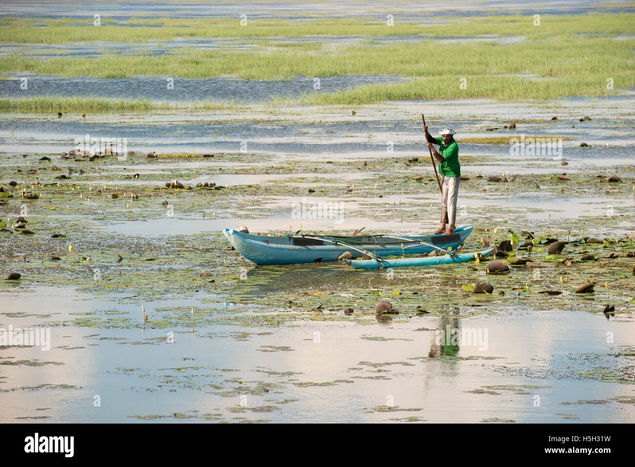Fischer auf der Riesen, Bewässerung Panzer in der Nähe von Mannar, Sri Lanka Stockfoto