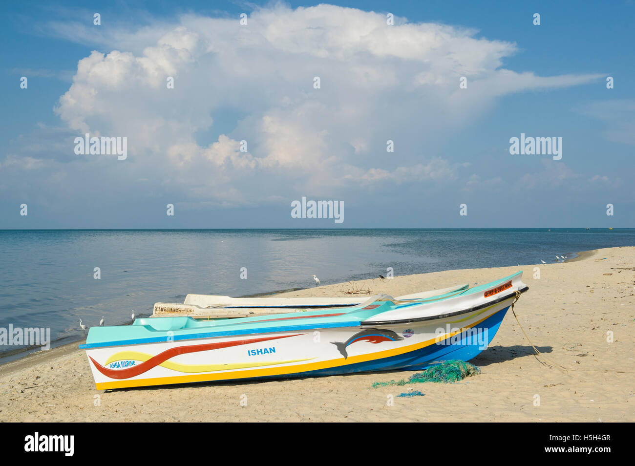Angelboote/Fischerboote am Strand, Peselai, Mannar Insel in Sri Lanka Stockfoto