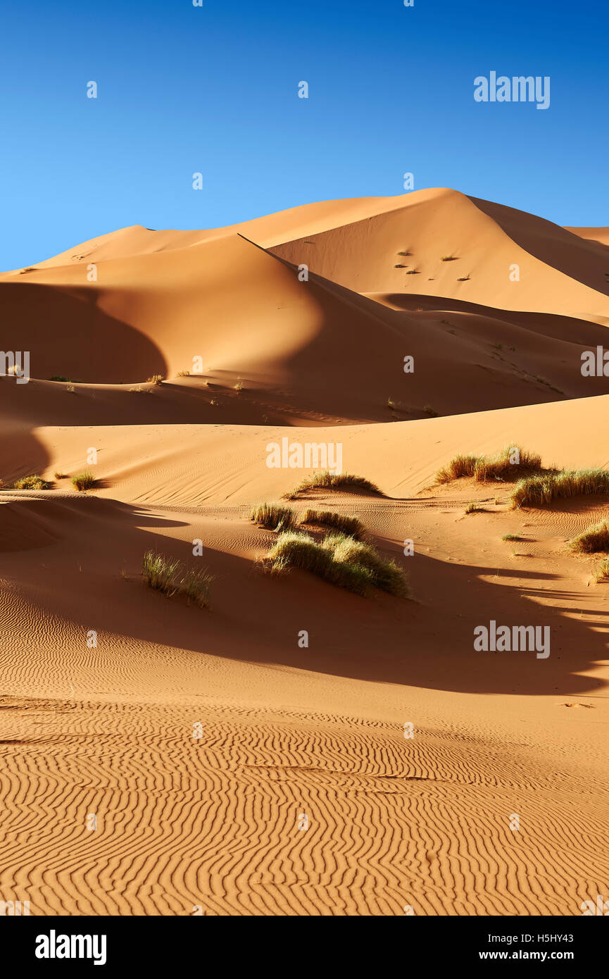 Sahara-Sand-Dünen von Erg Chebbi, Merzouga, Marokko, Afrika Stockfoto