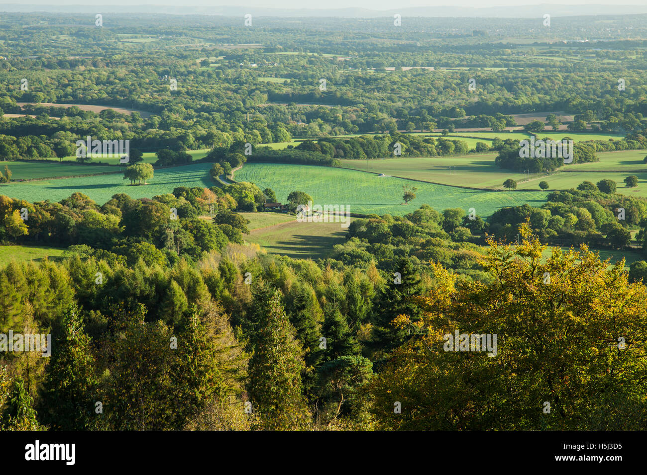 Ein Blick von Leith Hill Herbstnachmittag. North Downs, Surrey, England. Stockfoto