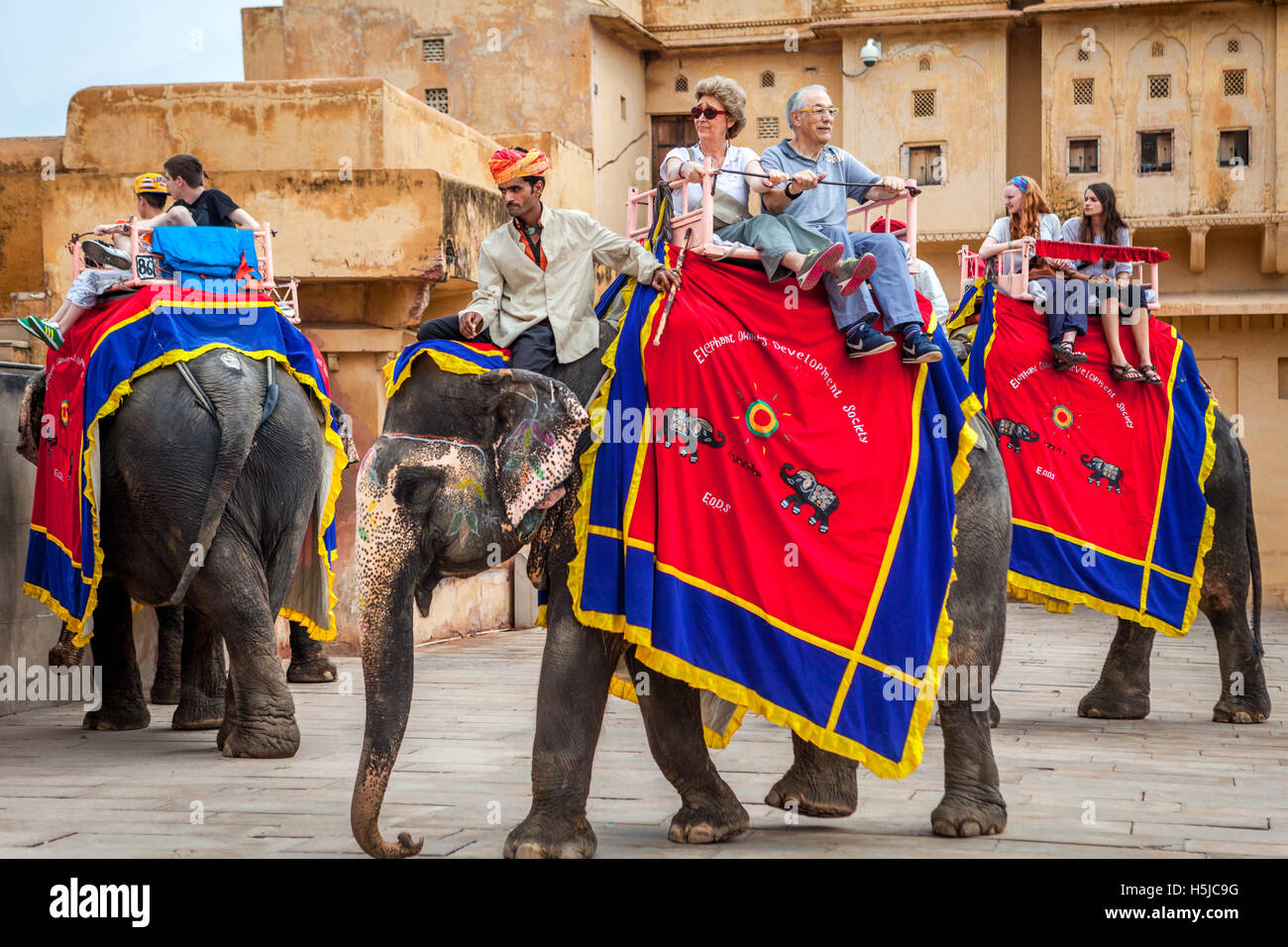 Touristen genießen Elefantenritt in Amer Fort, Rajasthan, Indien. Stockfoto