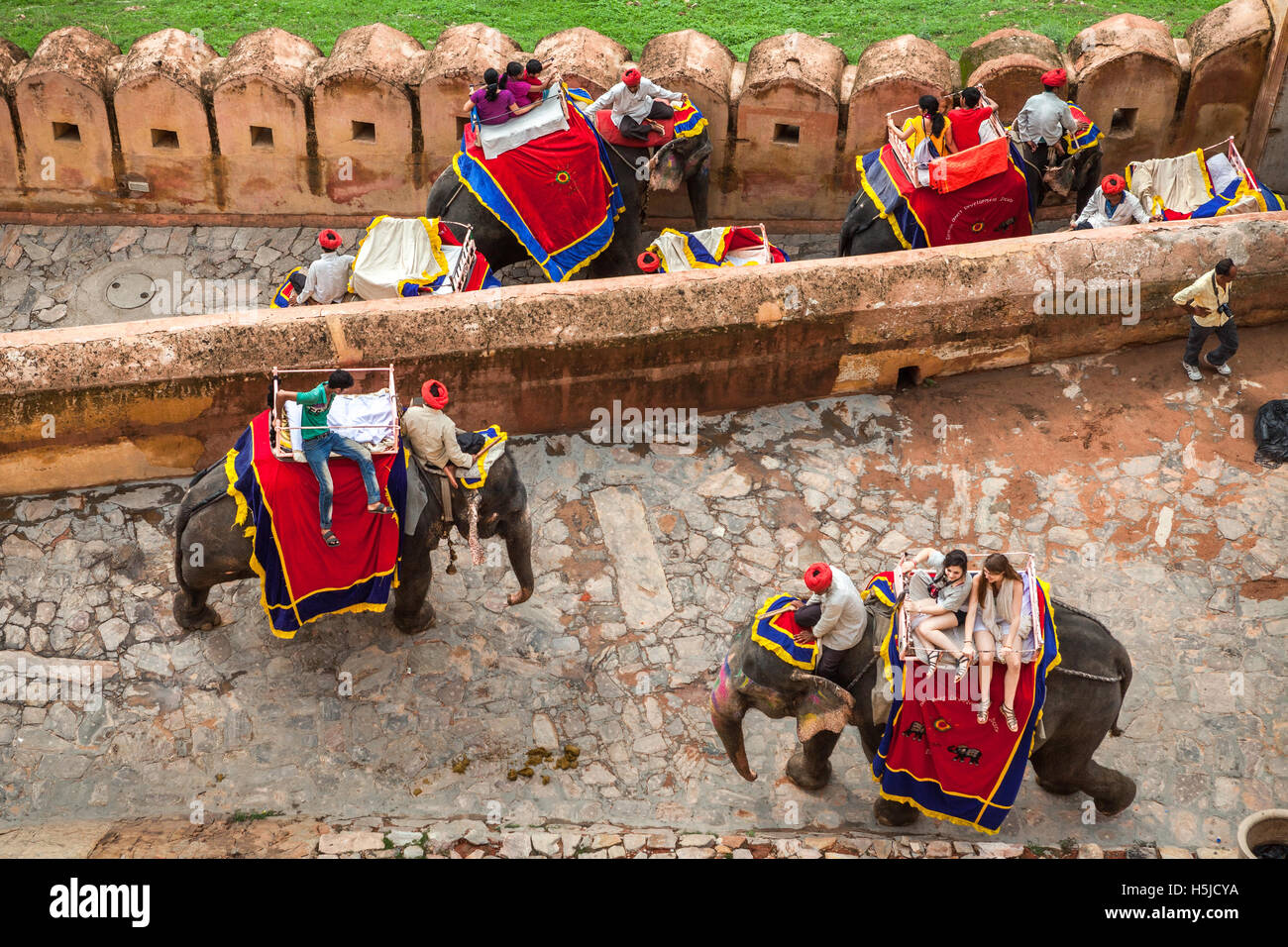 Touristen reiten Elefanten in Amer Fort, Rajasthan, Indien. Stockfoto